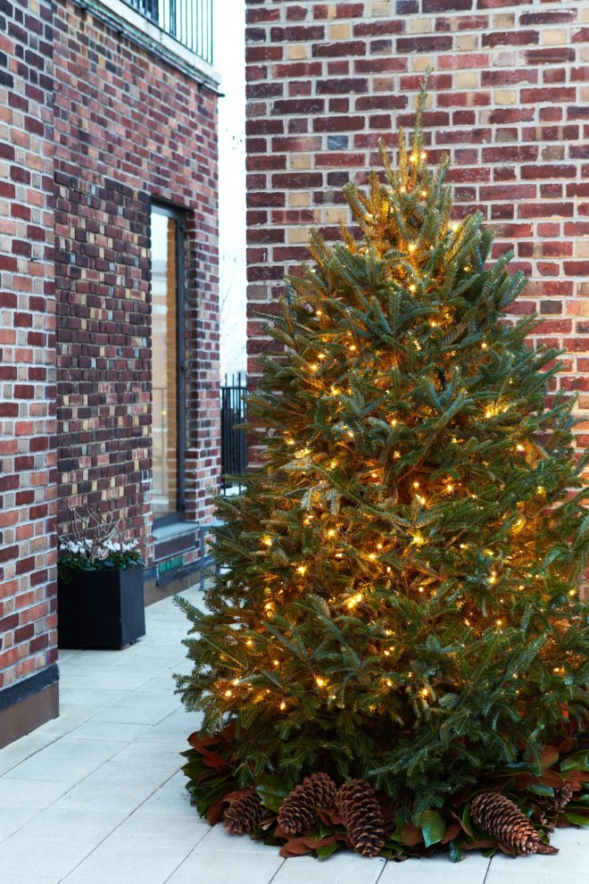 MERRY CHRISTMAS 2025 !