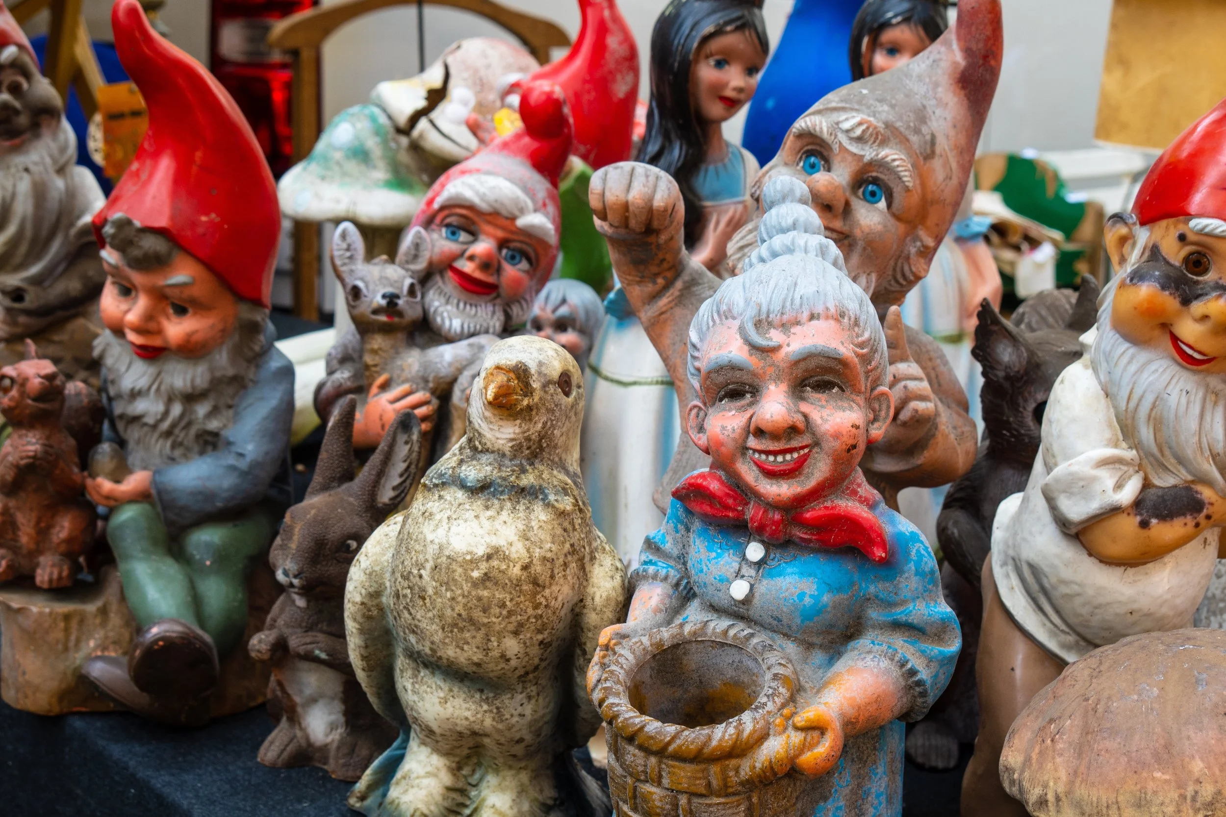 Garden Gnome Liberation Front