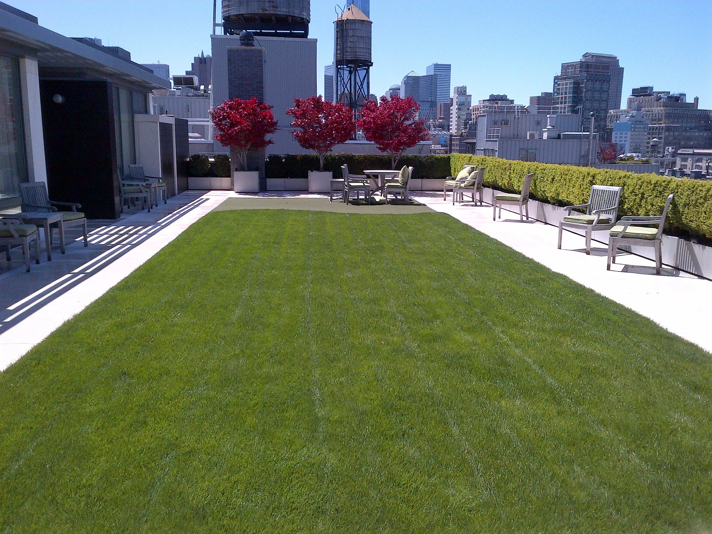 View from the top of the world 