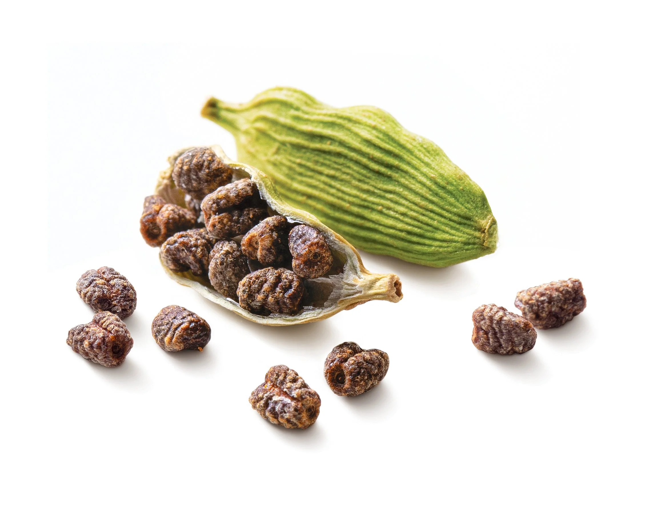 How are seeds made ?