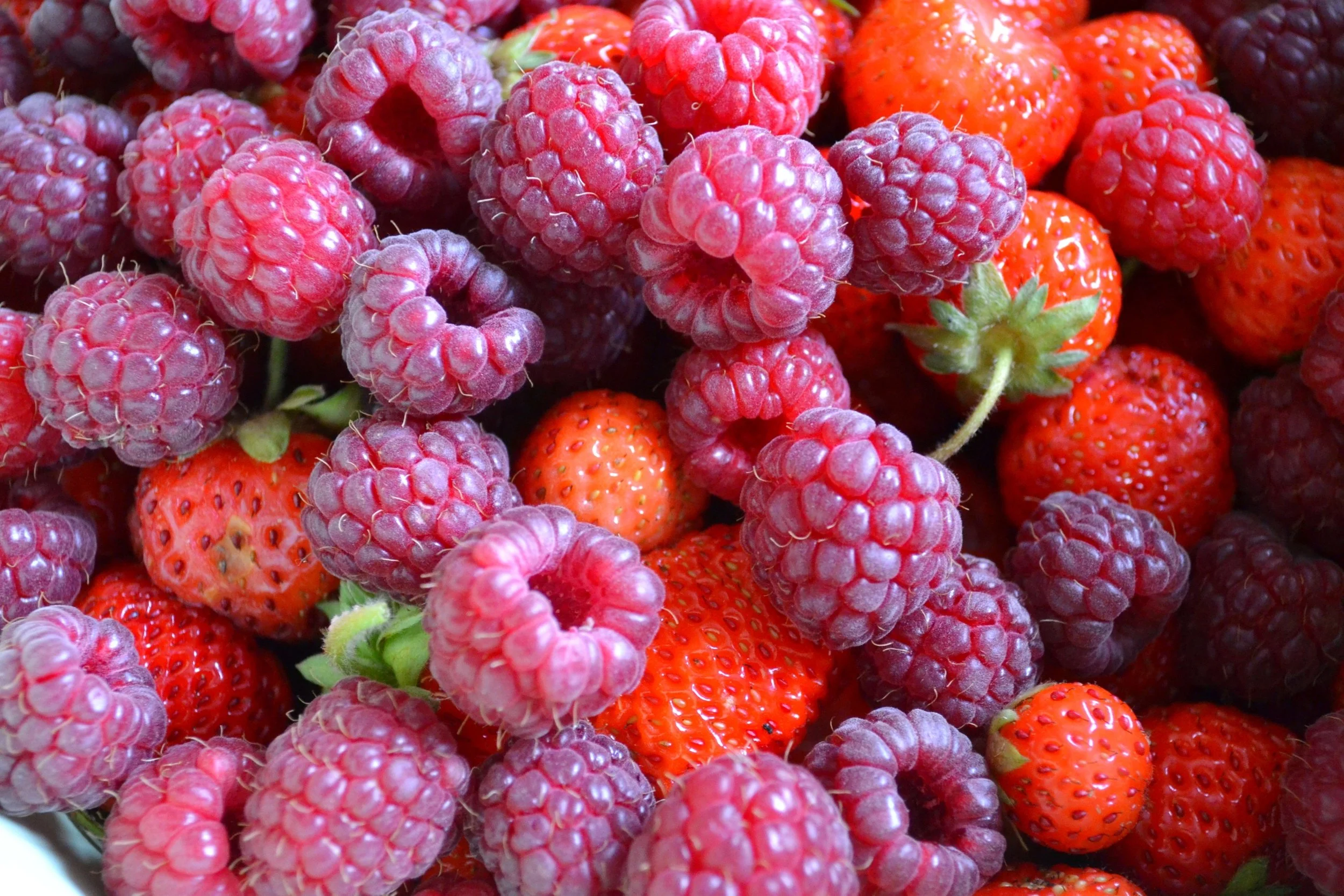 Raspberries in Containers ?