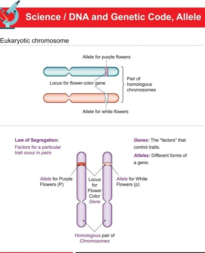 Native Genes Pest Control: New Gene Reverses Insecticide Resistance