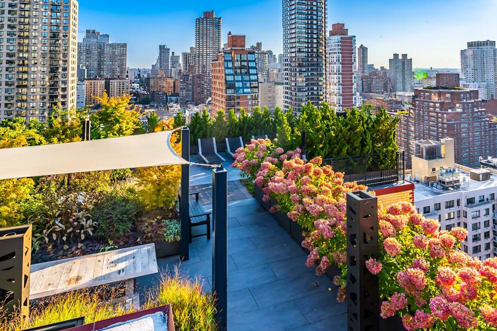 NYC rooftop garden walkway with planters and skyline views