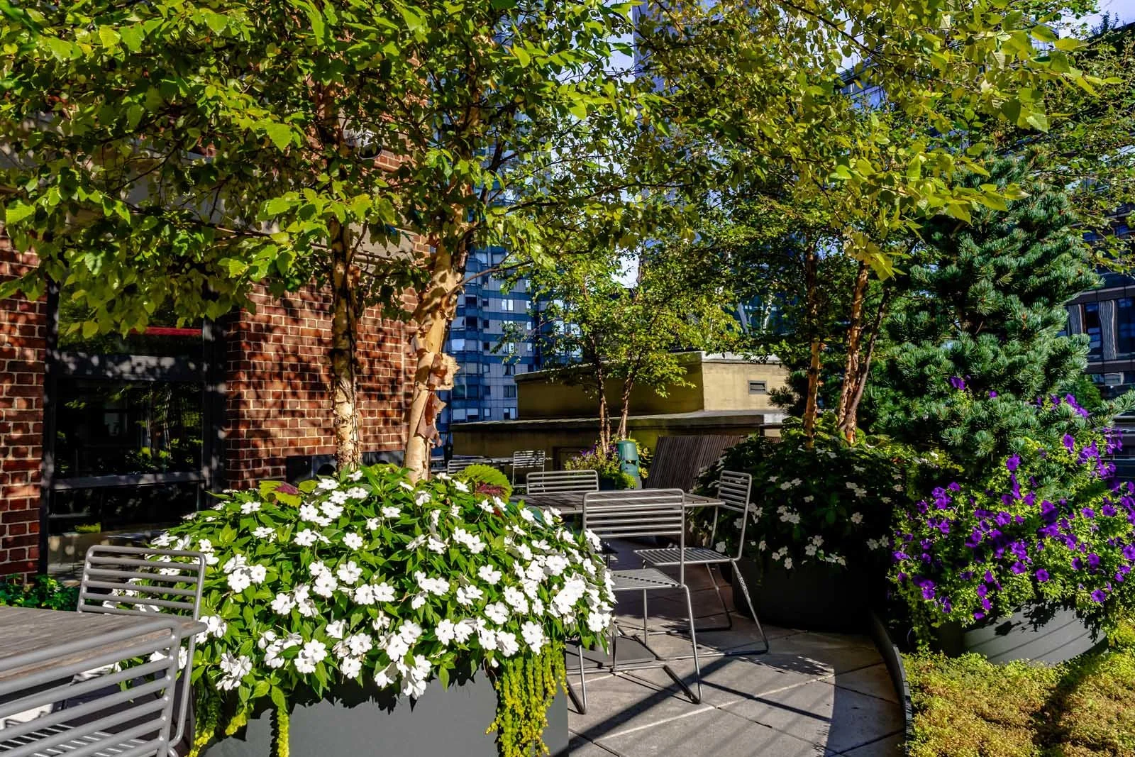 NYC terrace garden with shade trees and flowering plants