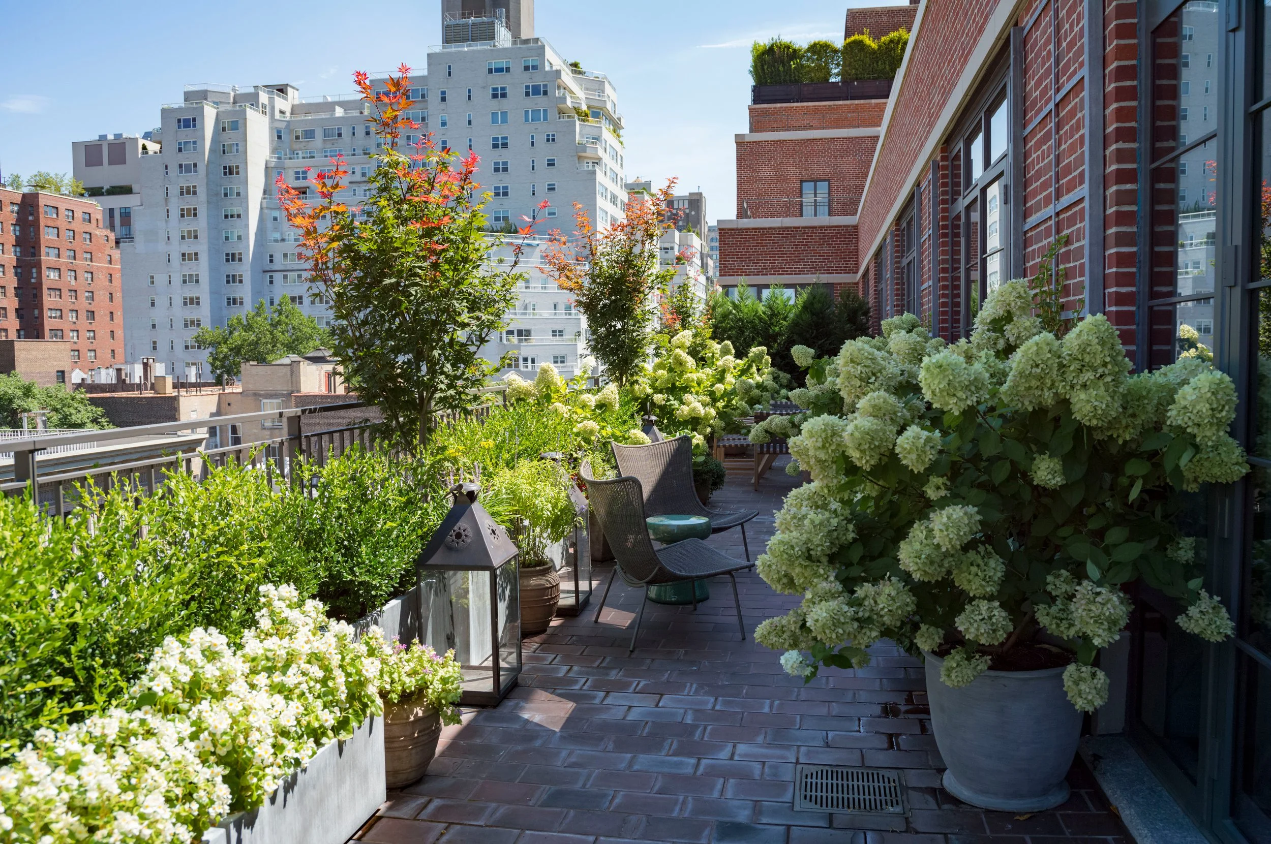 A beautiful patio rooftop garden by plant specialists.