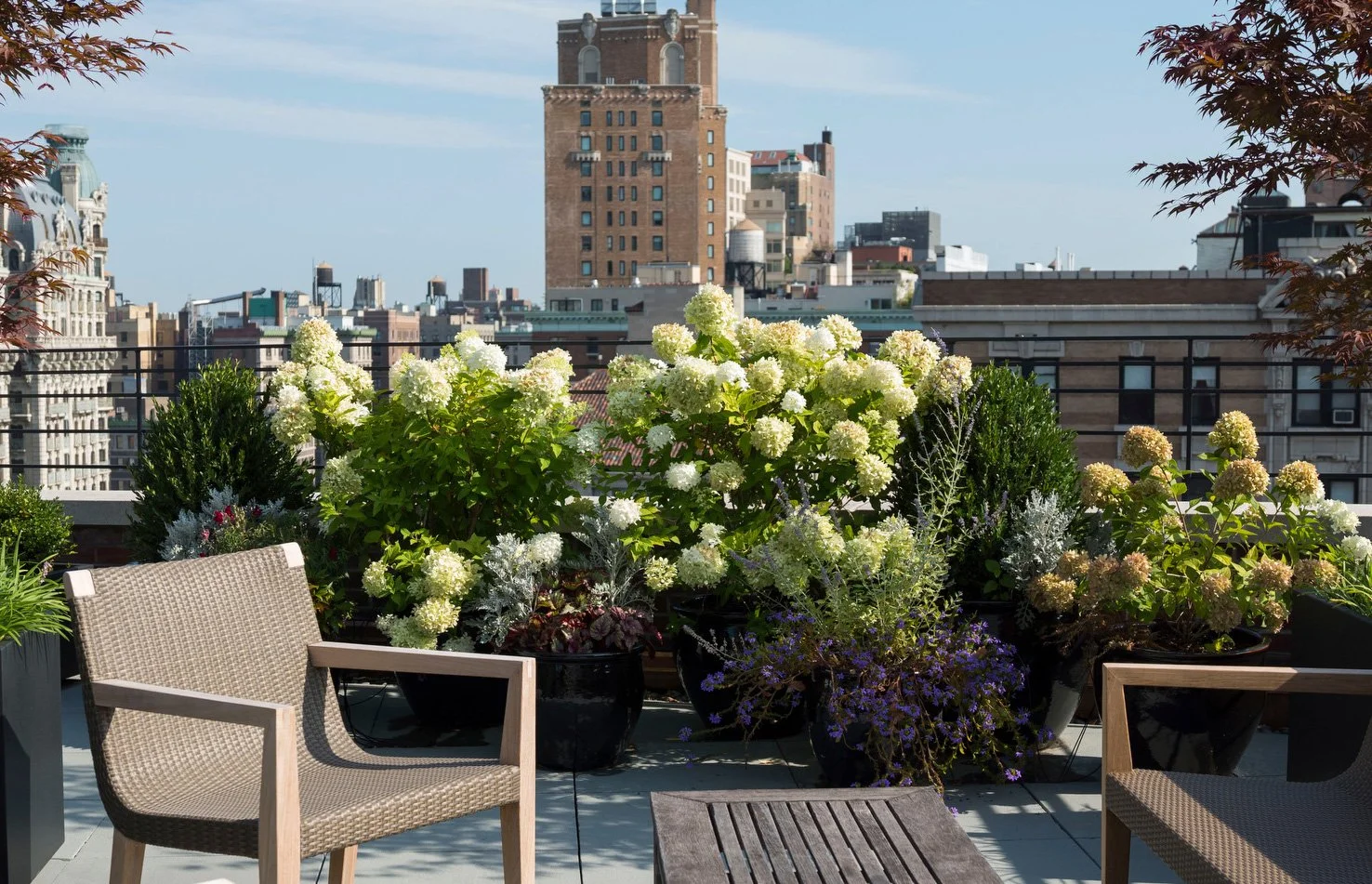 manhattan-rooftop-garden-patio-still-3.jpg