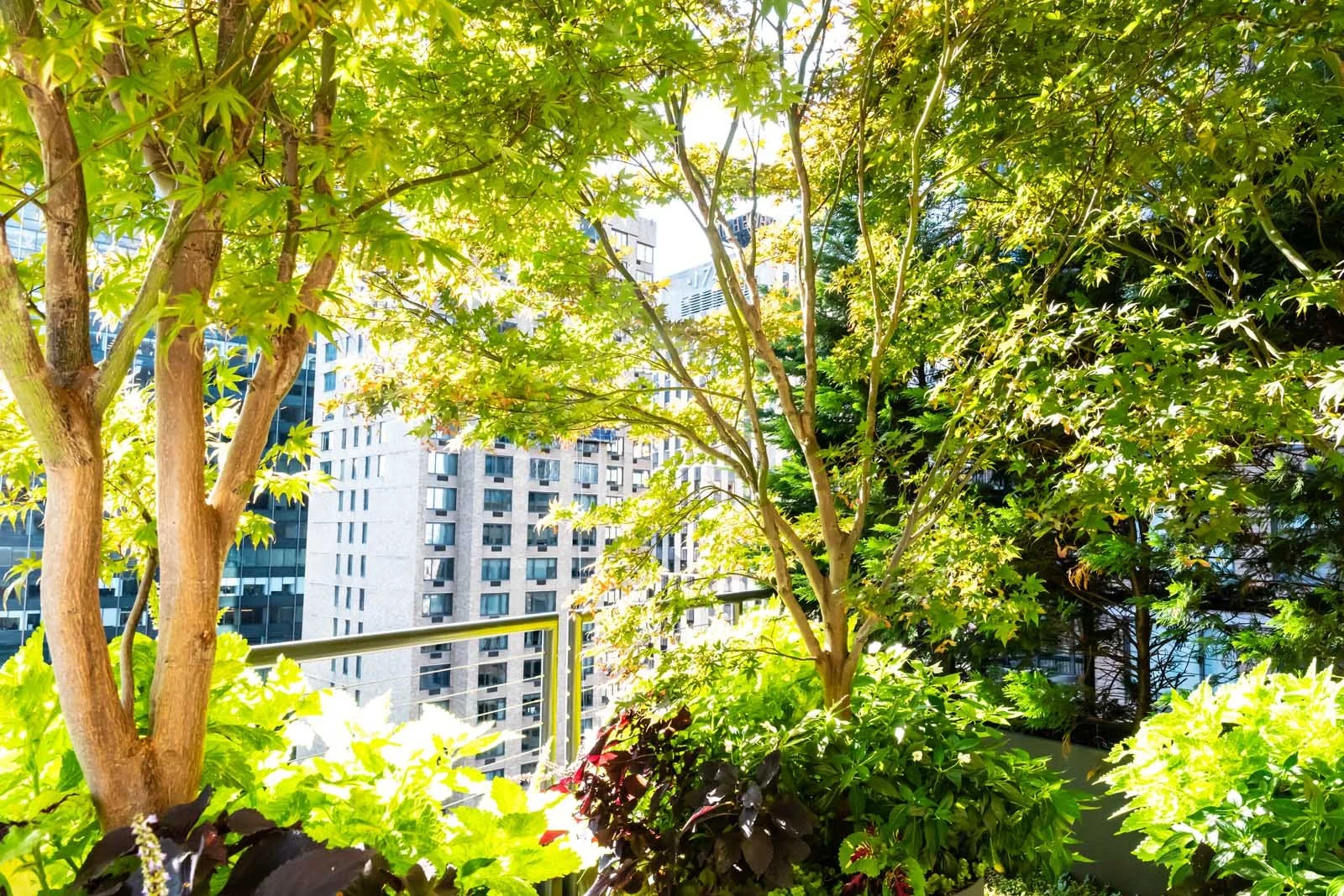NYC rooftop garden with trees, shade canopy, and layered planting