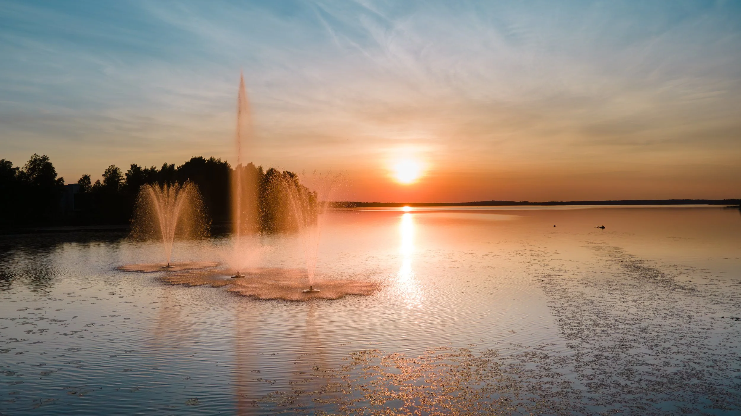 Photography Portfolio © Aalto Visuals-318.jpg