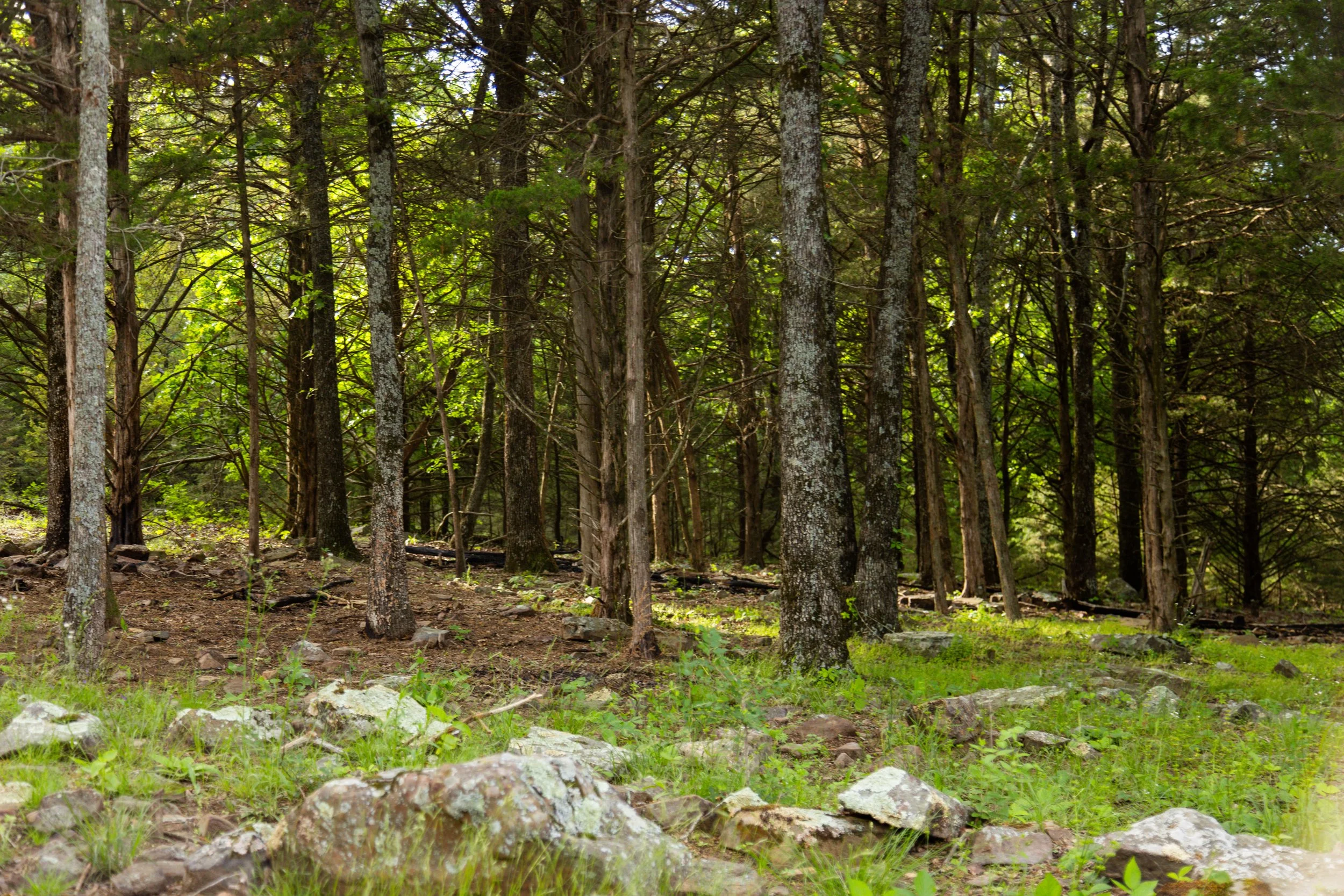 11201 Rare Valley-7896.jpg