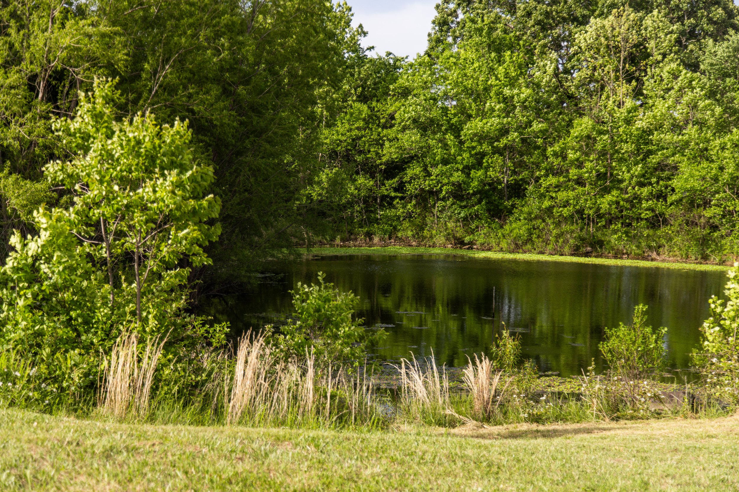 11201 Rare Valley-7599.jpg