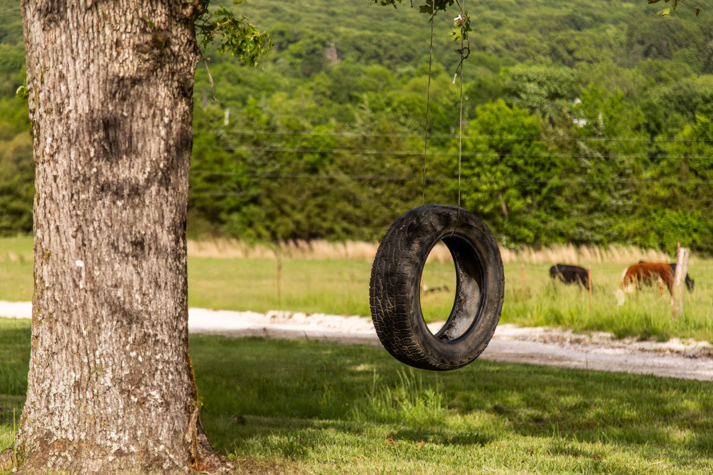 11201 Rare Valley-7608.jpg