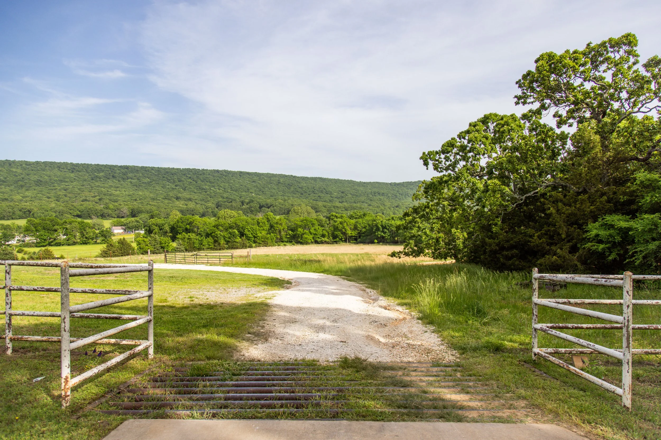 11201 Rare Valley-7738.jpg