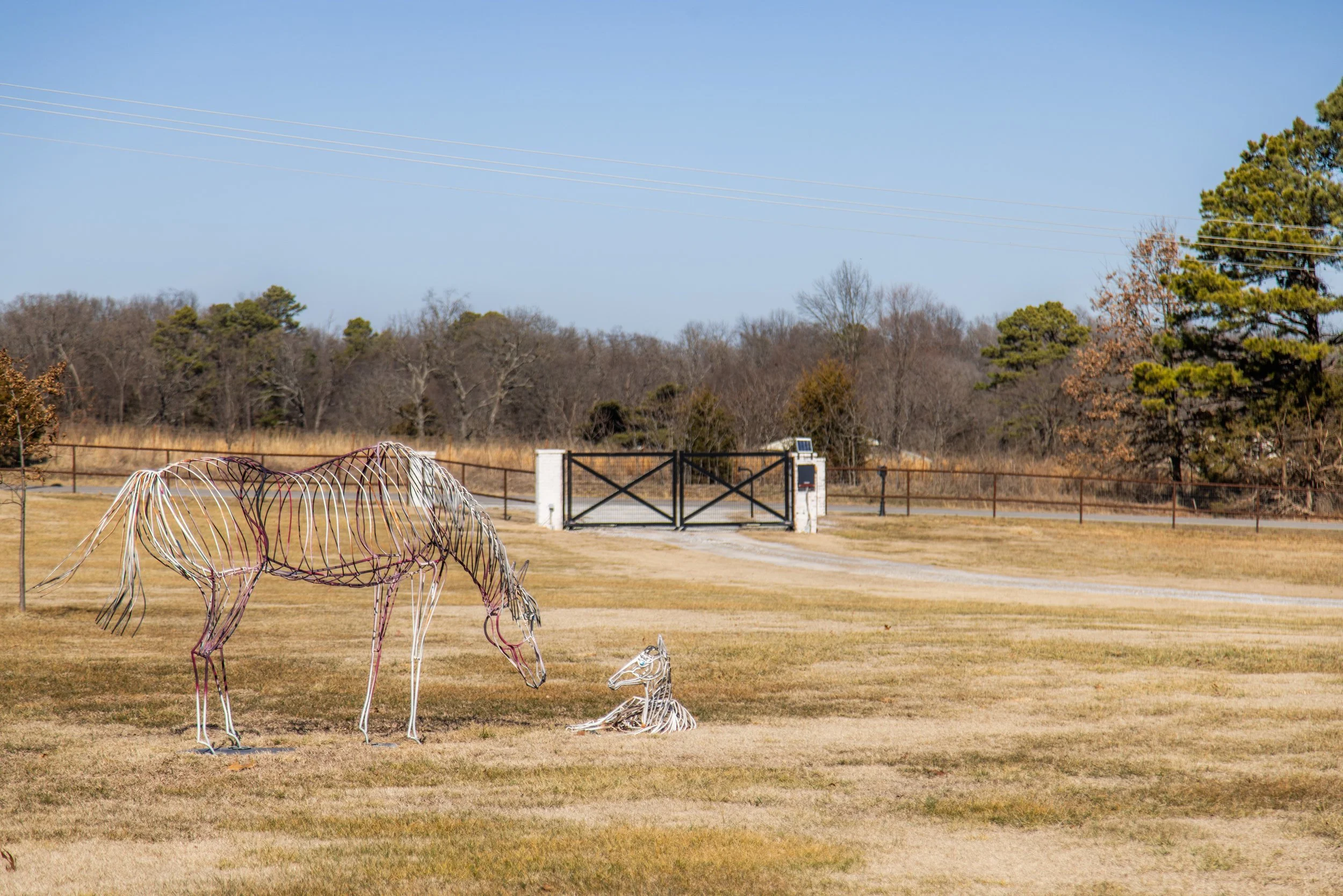 13885 N Mt Olive Rd, Gravette, AR 72736-2828.jpg