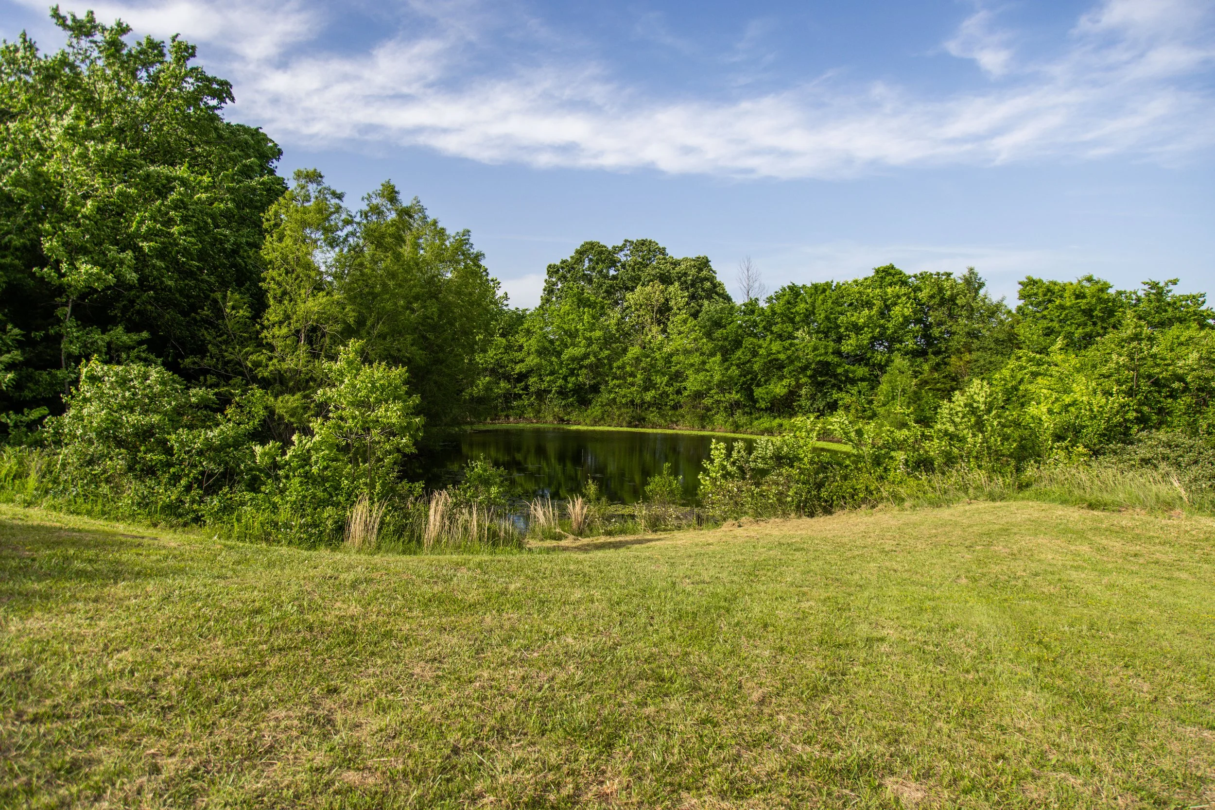 11201 Rare Valley-7596.jpg