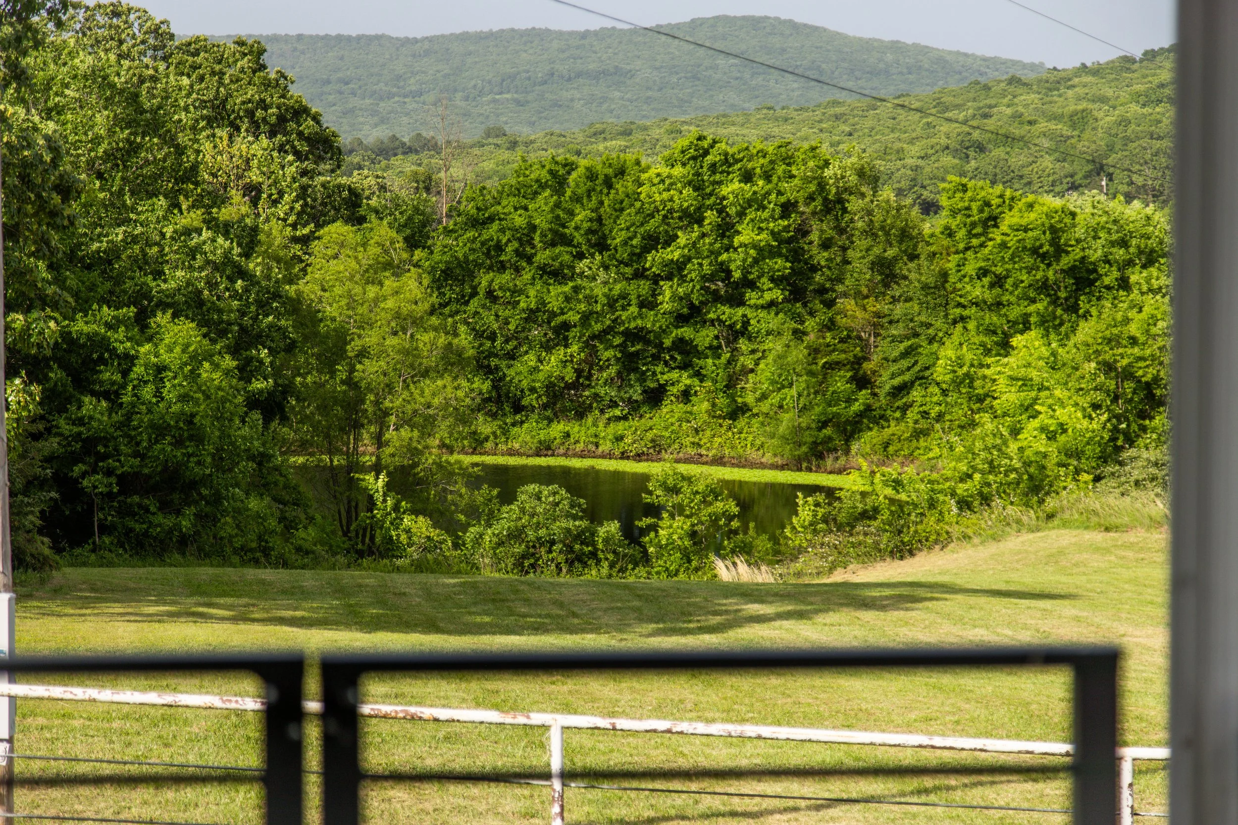 11201 Rare Valley-7773.jpg