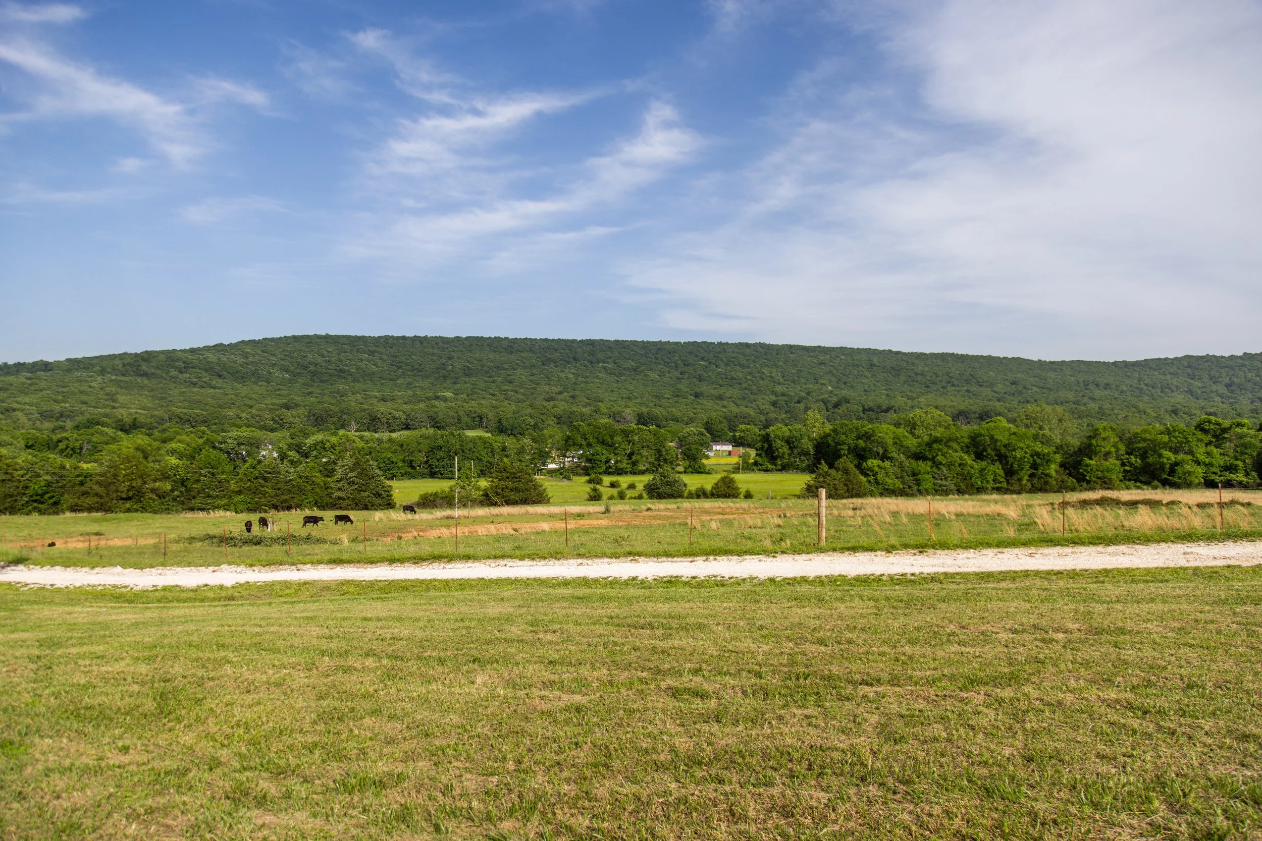 11201 Rare Valley-7590.jpg