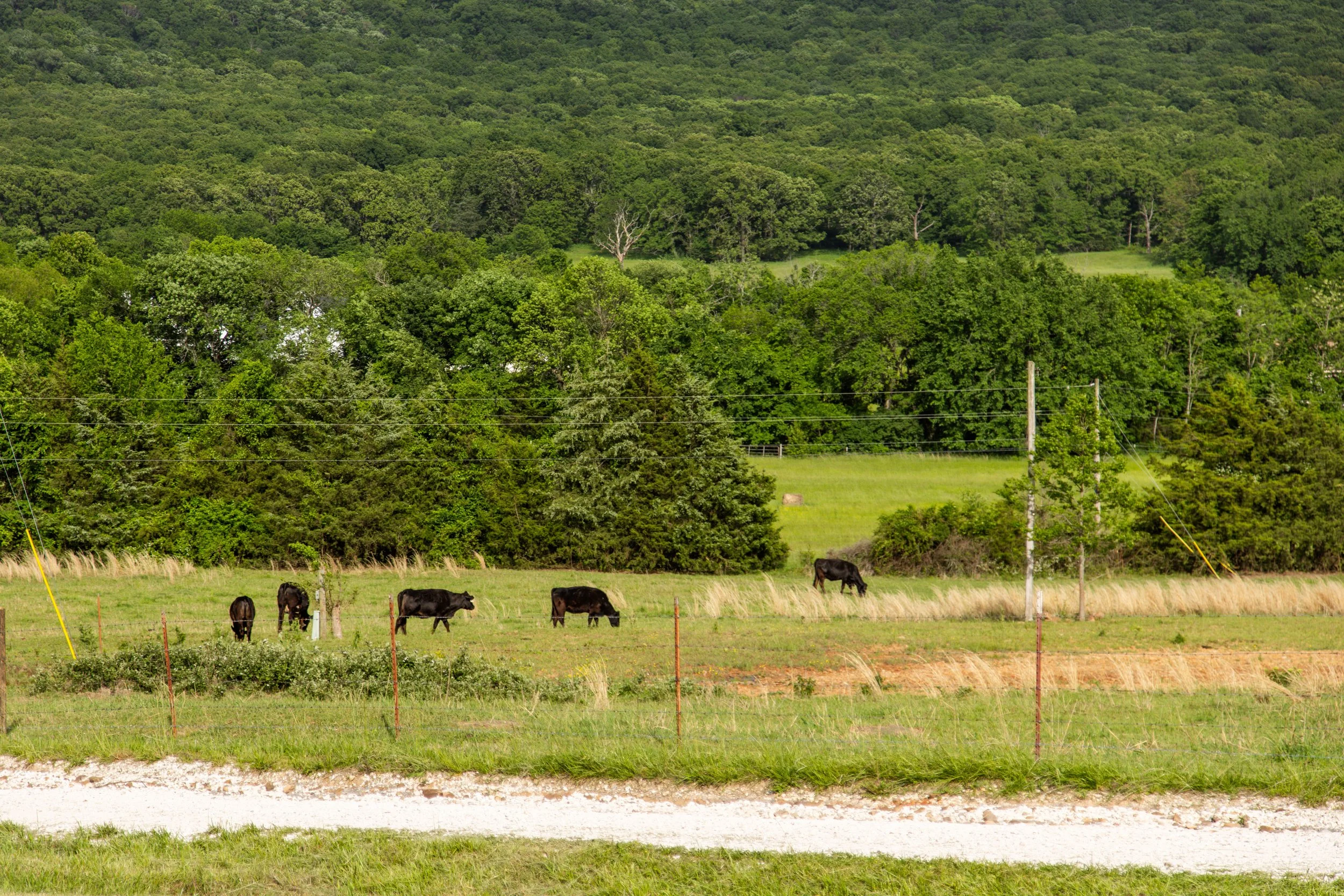 11201 Rare Valley-7588.jpg