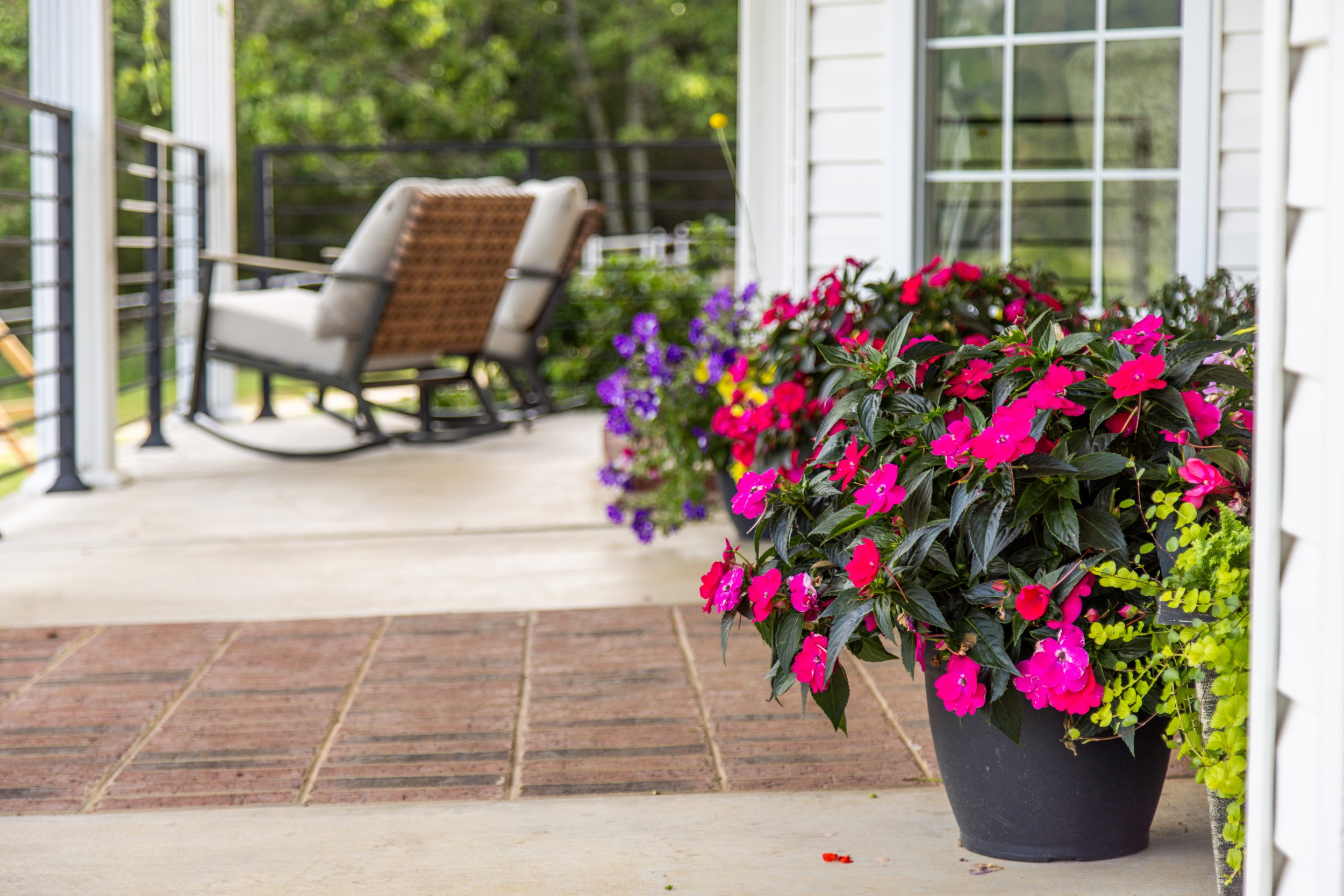 11201 Rare Valley-7839.jpg