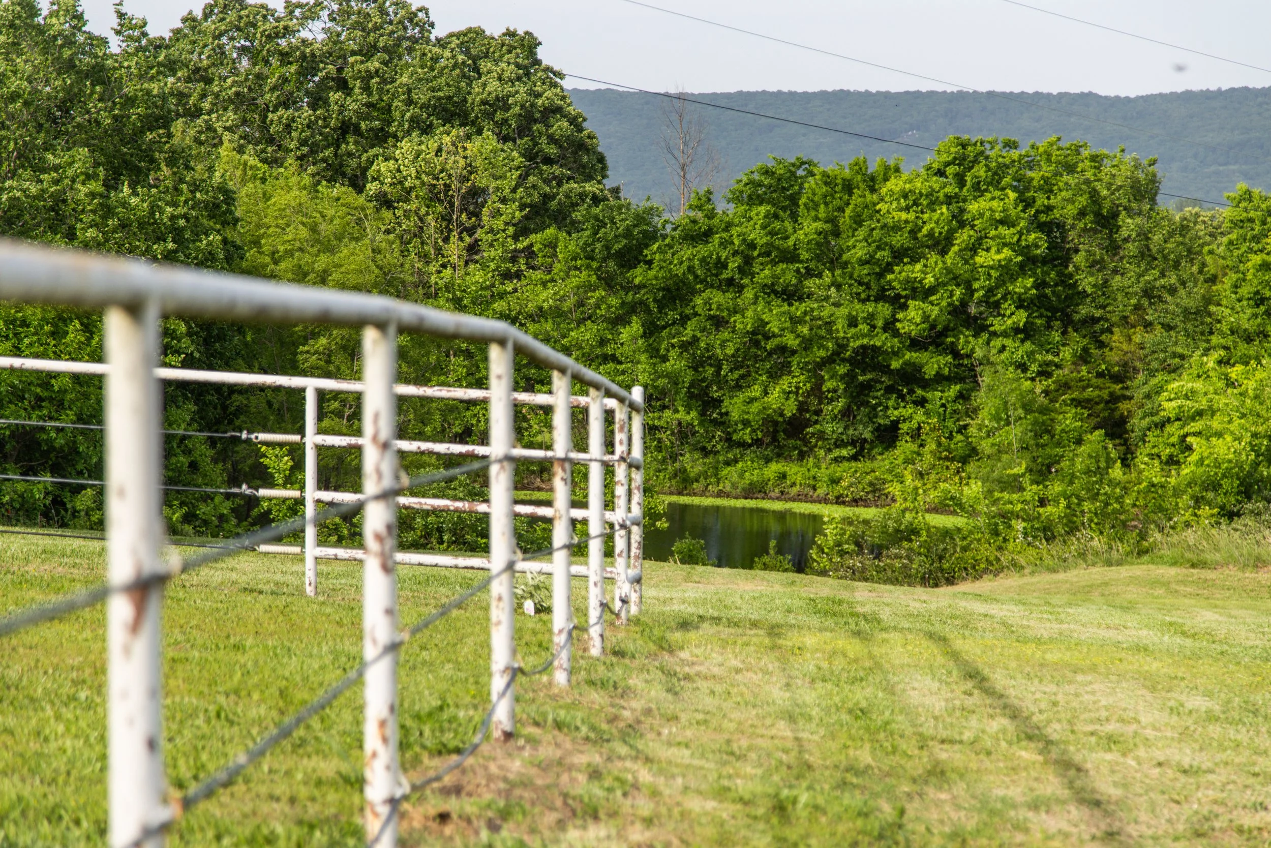 11201 Rare Valley-7571.jpg