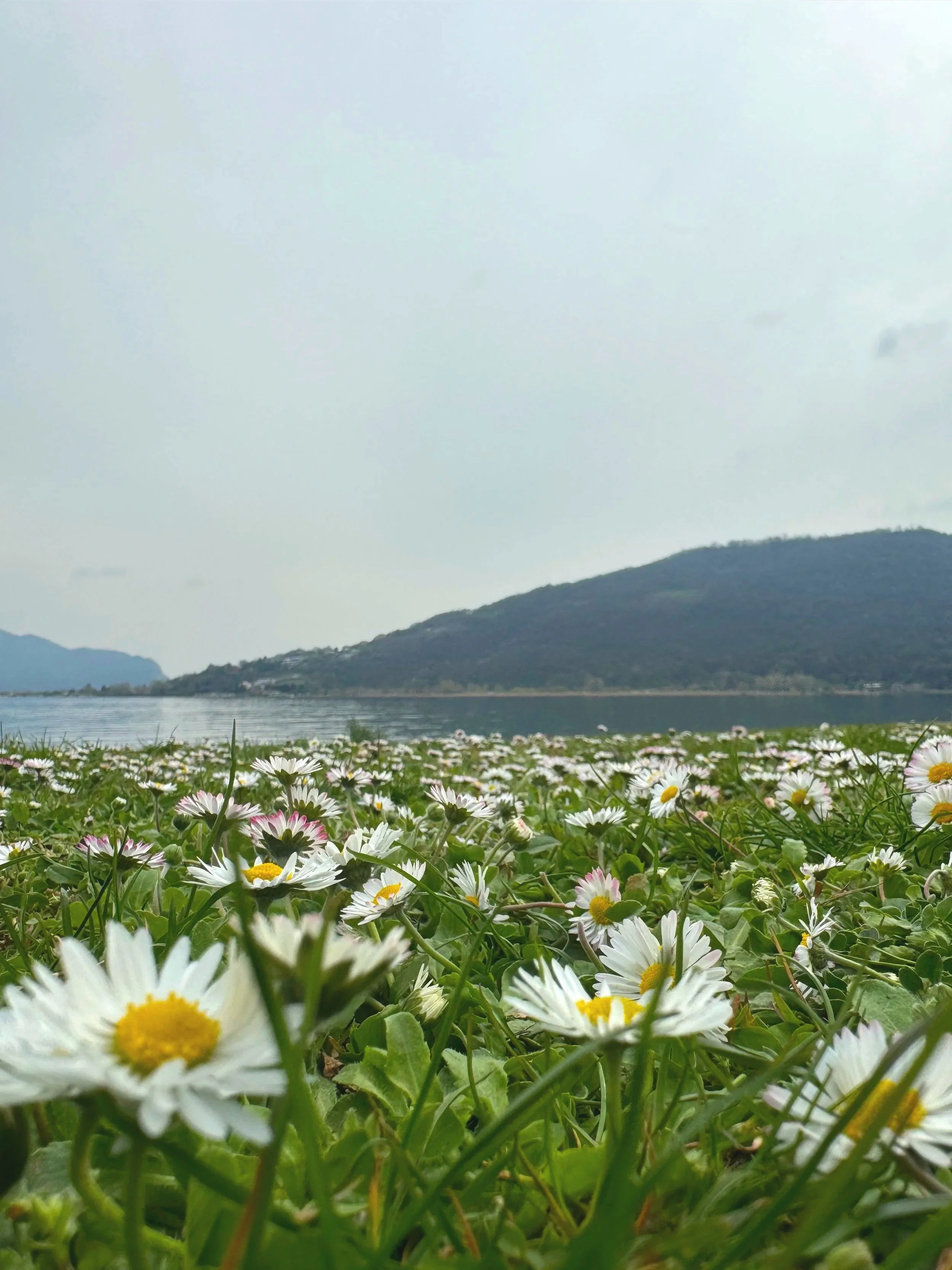 Spiaggia-Lago-Iseo