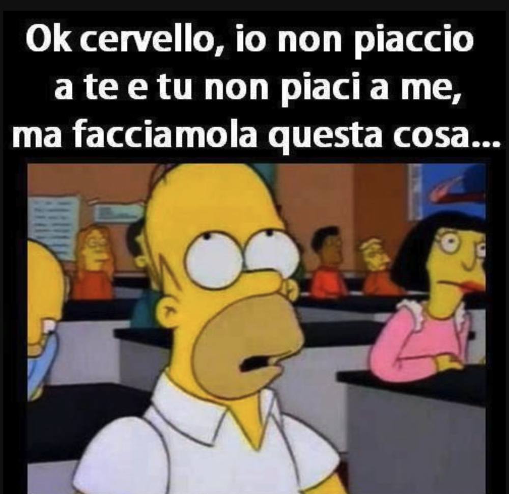 meme di homer simpson