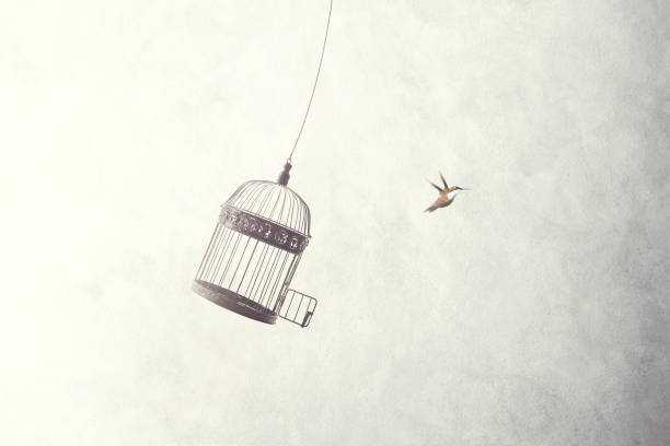 Mediating in a crisis:  how to ground your case with winning principles