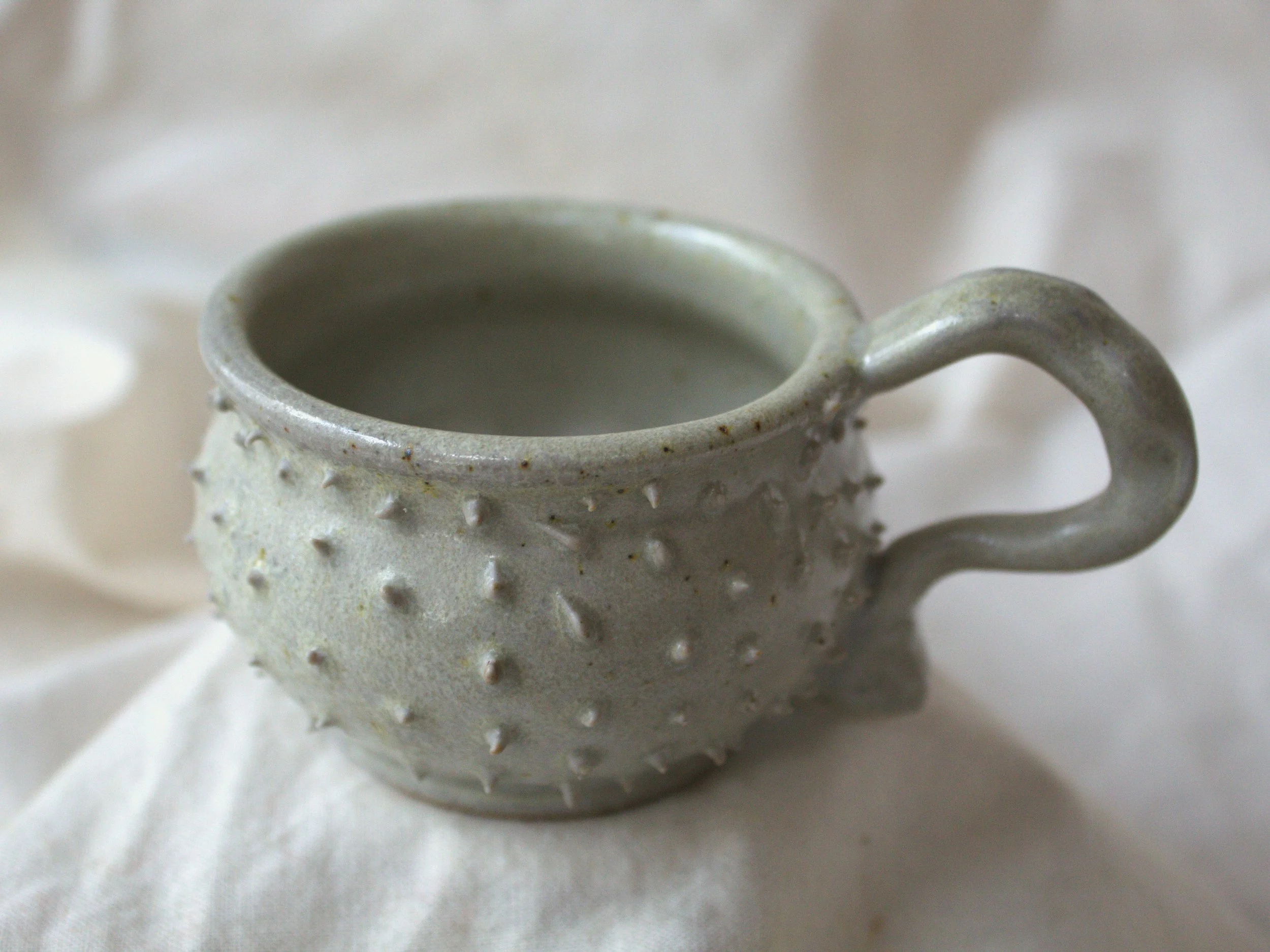 morningstar cup 5.jpg