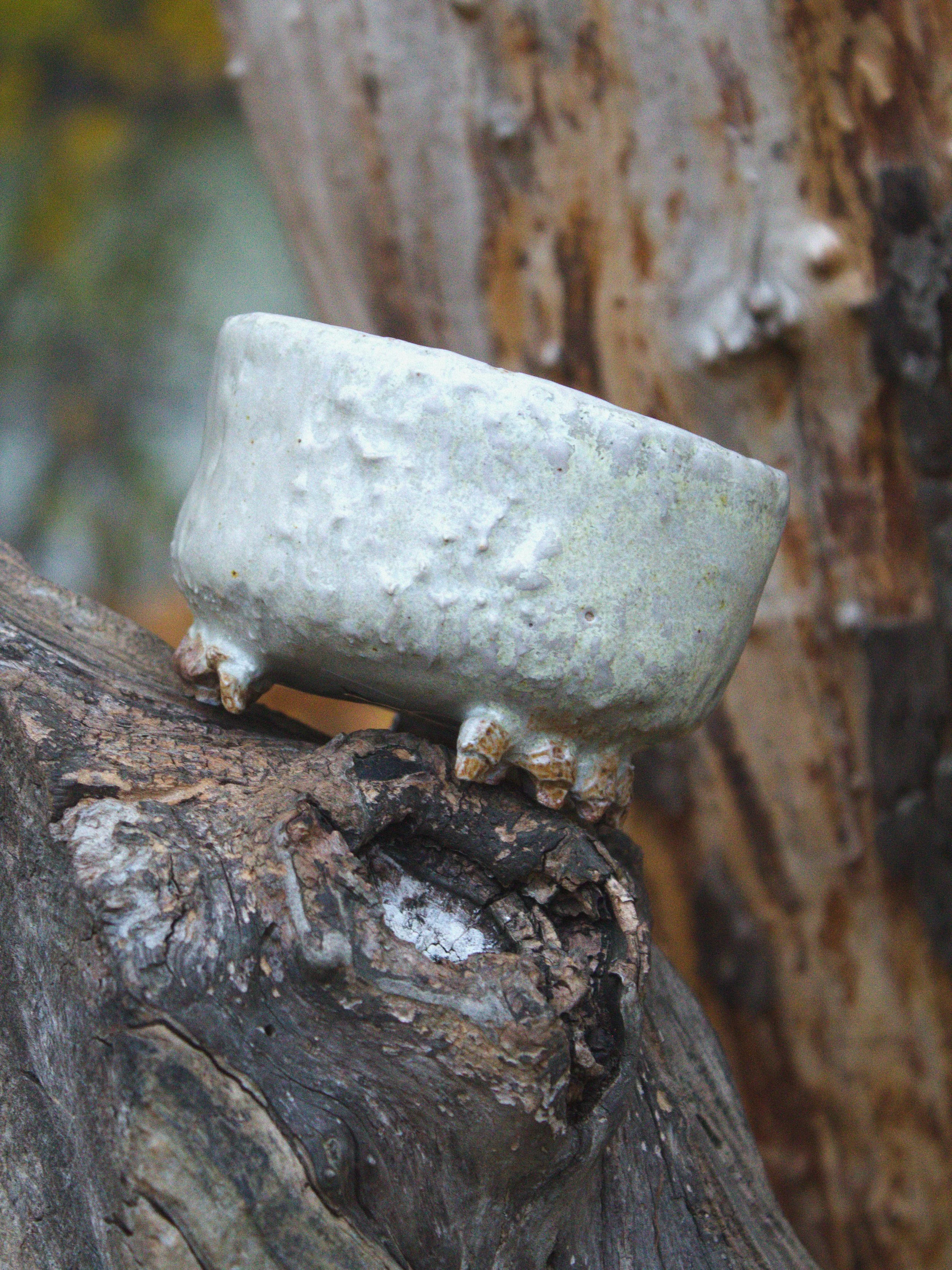 skittering tea bowl.jpg