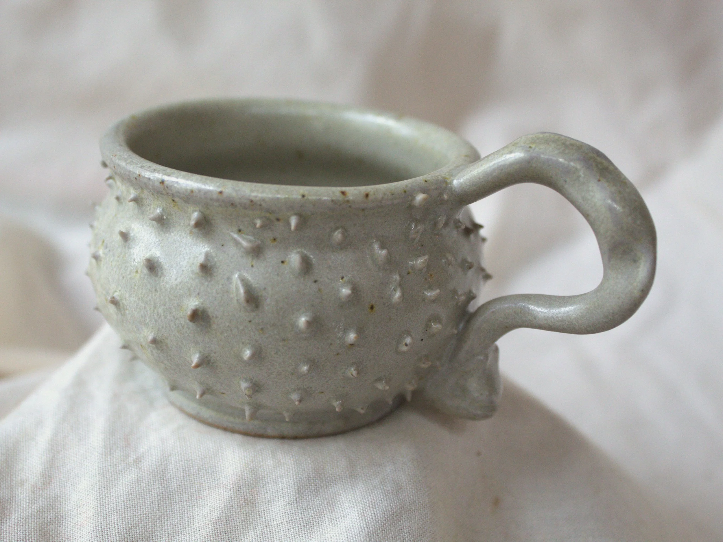 morningstar cup 3.jpg