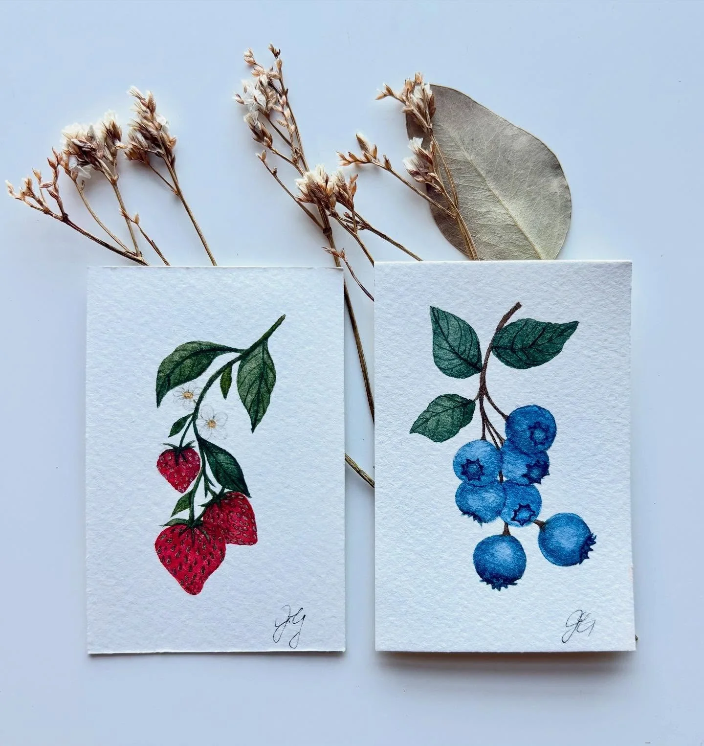 A quote from my both my sister and my best friend &ldquo;you do fruit now!?&rdquo; I guess I do! I was working on a commission of heirloom tomatoes and drew up these little cuties. They left @omahaflea together last weekend! 

🍓🫐