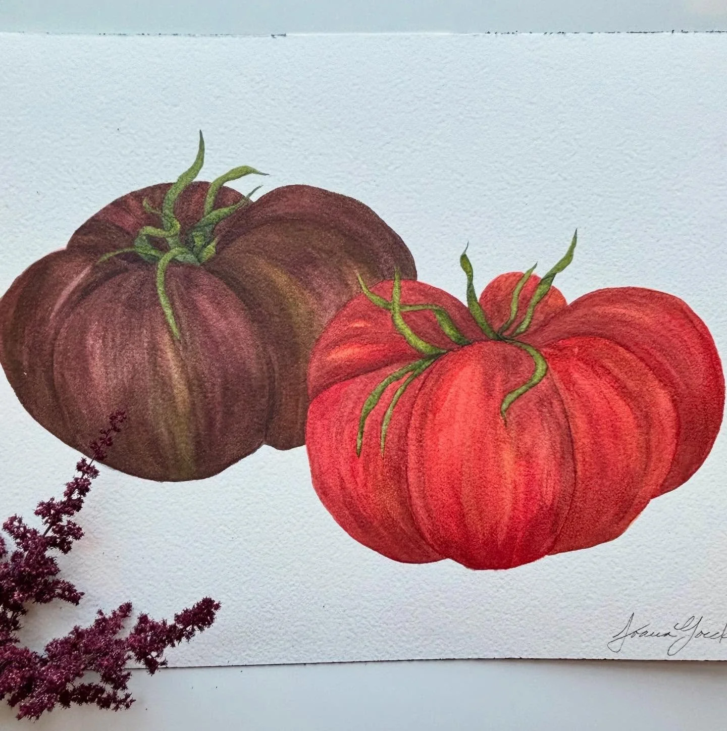 It&rsquo;s peak tomato season and this was a commission I did a little bit ago of a pair of heirloom tomato&rsquo;s. 🍅🍅 I am absolutely in love with how these turned out. I love getting to bring someone&rsquo;s vision to life.