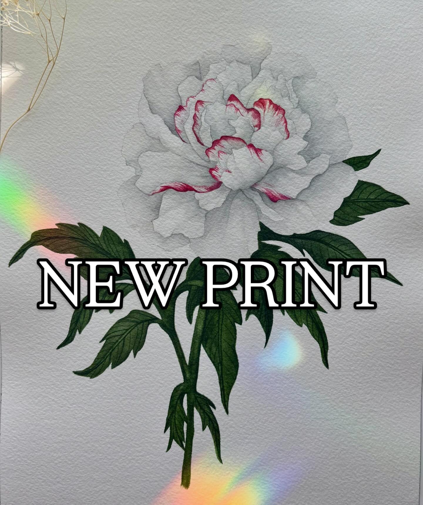 ✨NEW PRINT AVAILABLE!✨ 

I&rsquo;ll have these THIS WEEKEND at @rockbrookvillage.art.fair Saturday 10-6 and Sunday 10-5. 
The weather will so beautiful so come out and see some amazing artists!