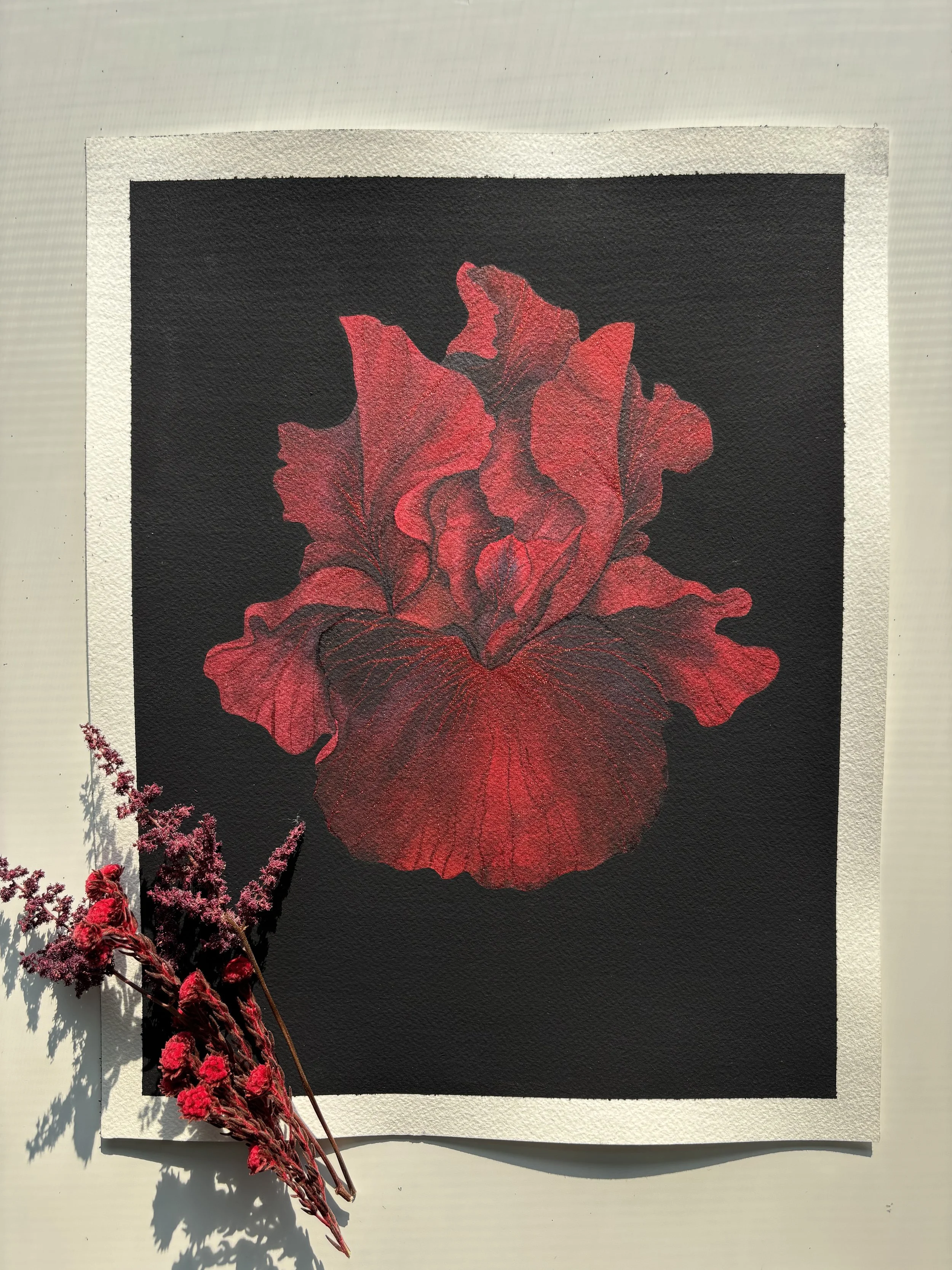 Red Iris