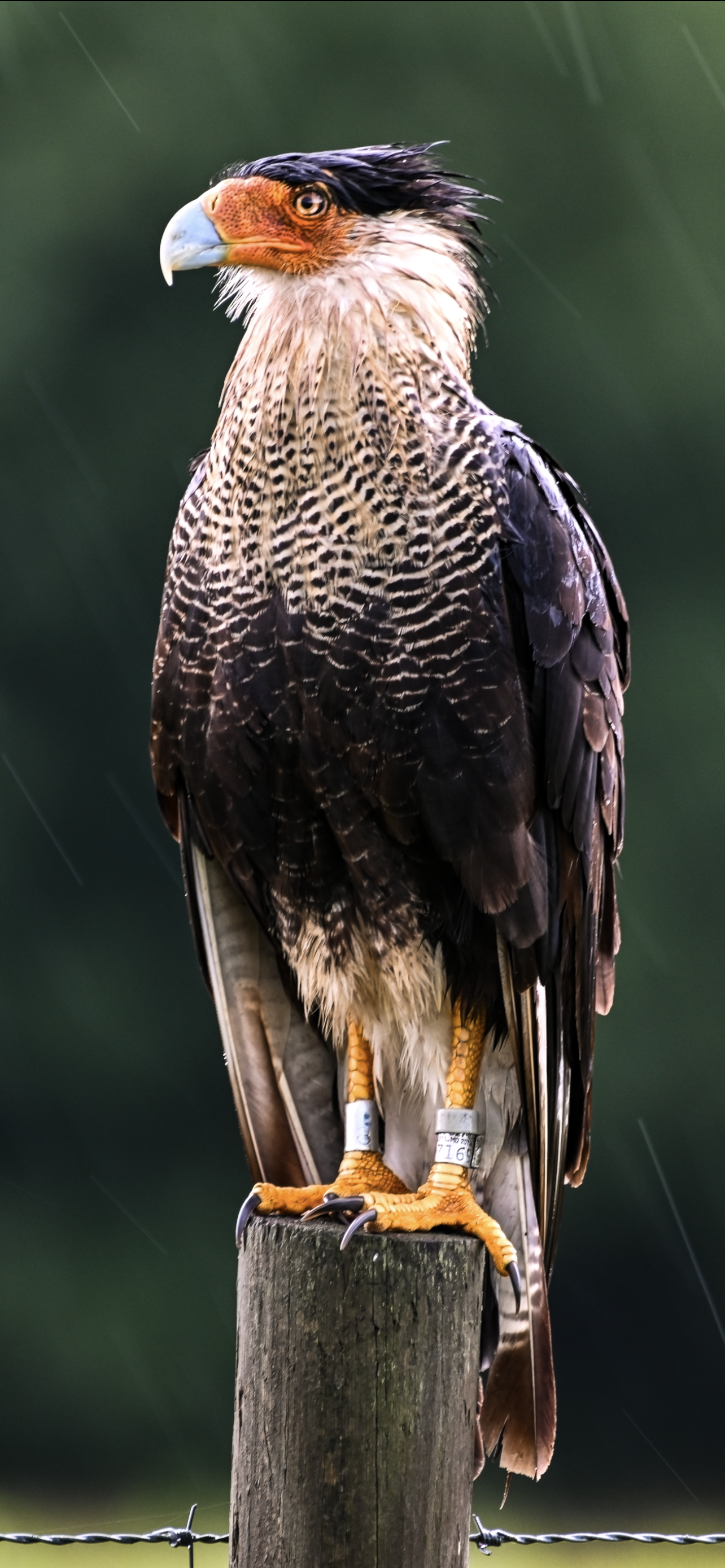 IMG_9125.png