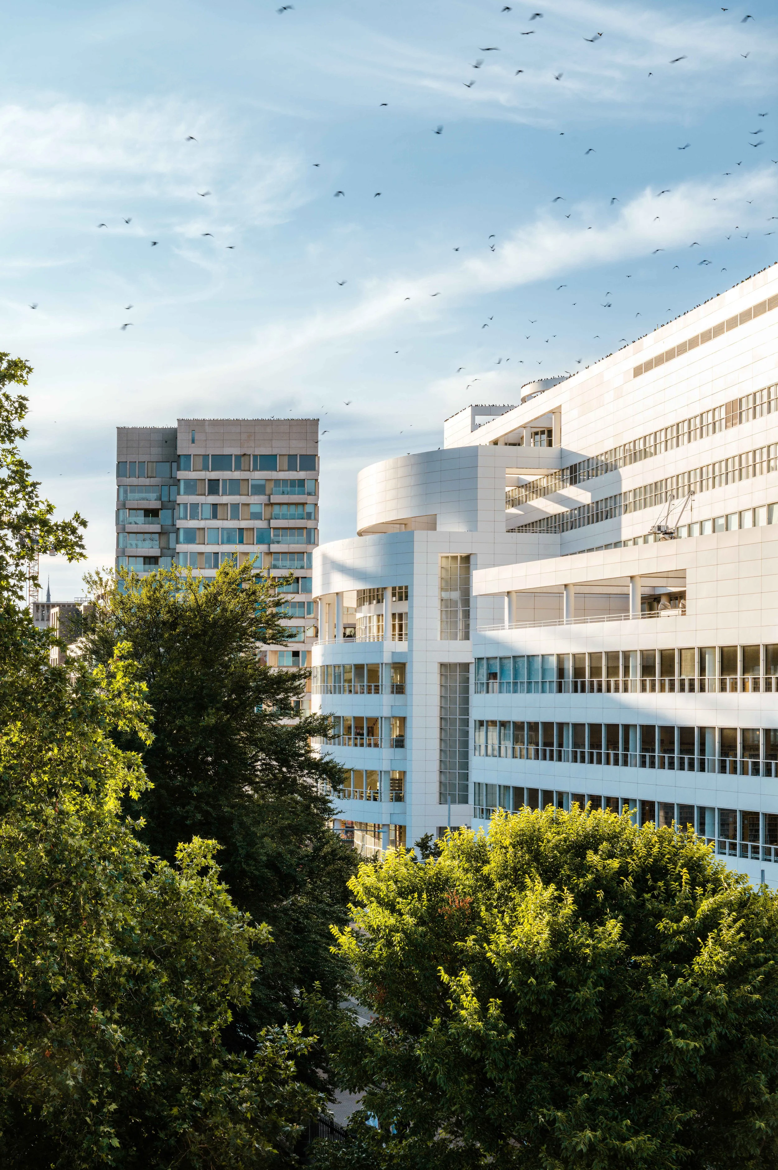 The Hague 1 ©MadalinaBaghiceanu lr.jpg