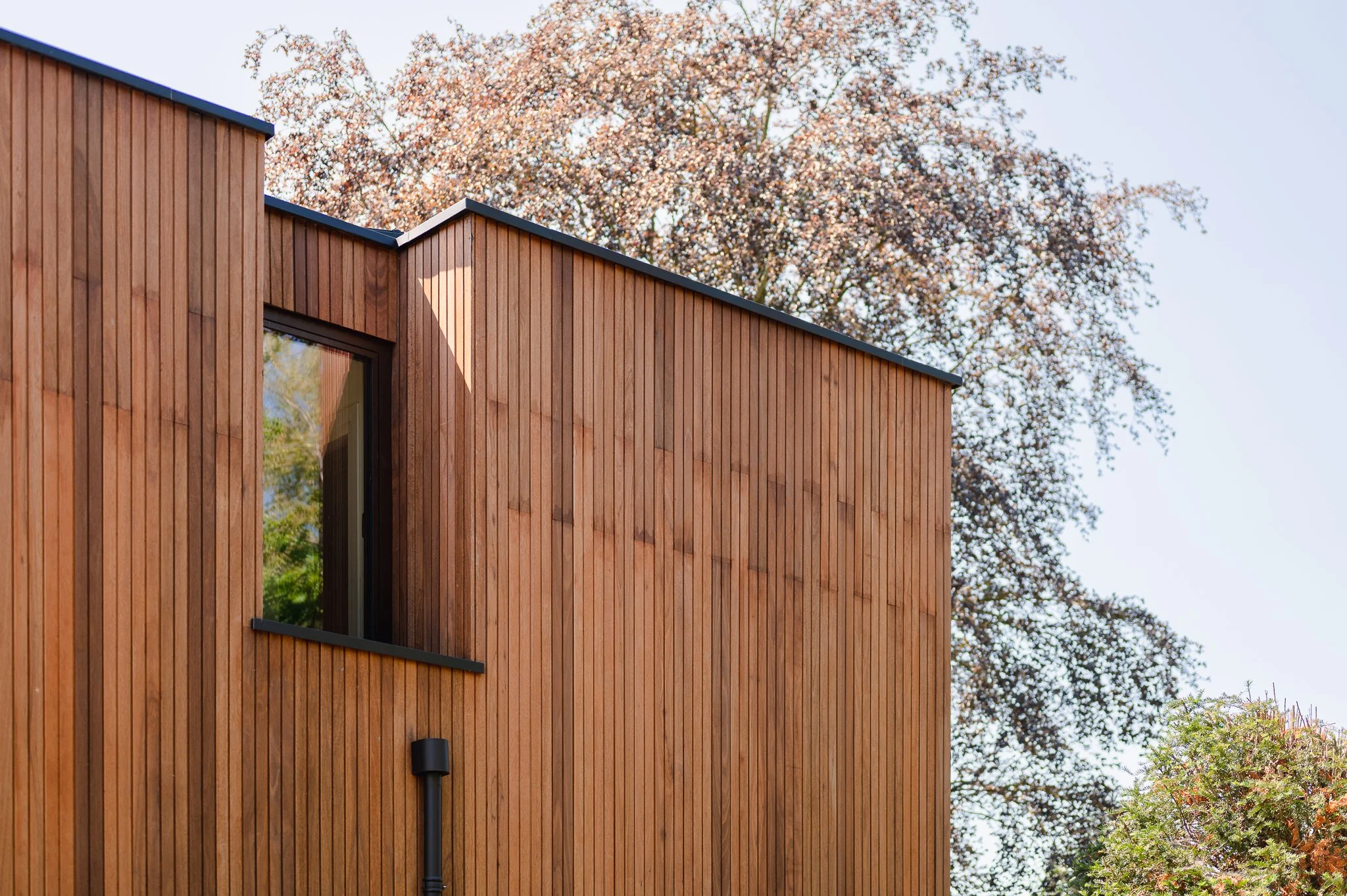 Woonhuis Doorn_Atelier Zweers ©MadalinaBaghiceanu lr-23.jpg