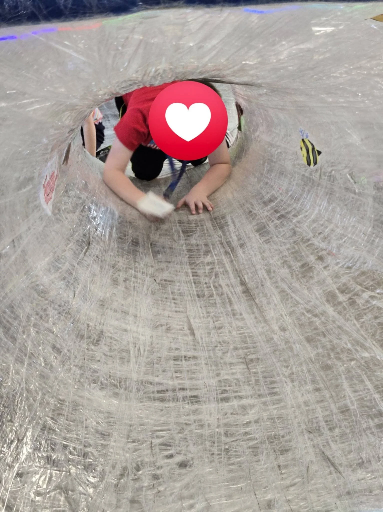 773498673_1705218998272858_7681996843449907089_n.jpg