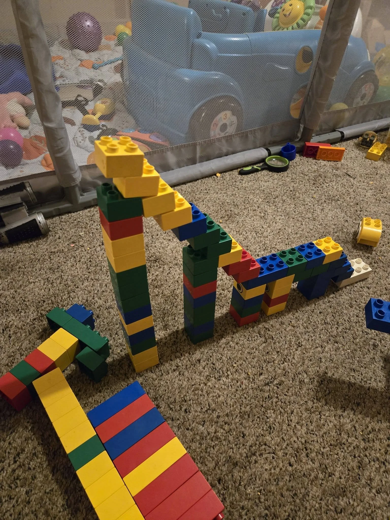 773403084_1705224058272352_7990894350175938743_n.jpg
