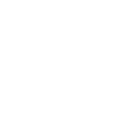 GFS Community Visioning Council