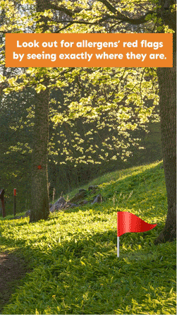Zyr4.gif