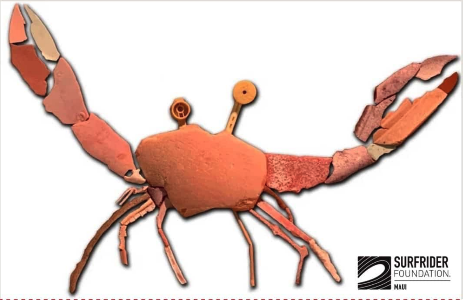 Hoʻokipa Beach Clean-up