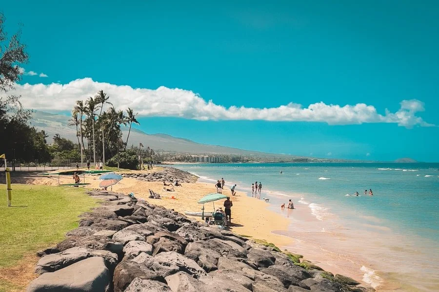 MMN Partnering with Surfrider Maui for Kalama Beach Comunity Work Day Event