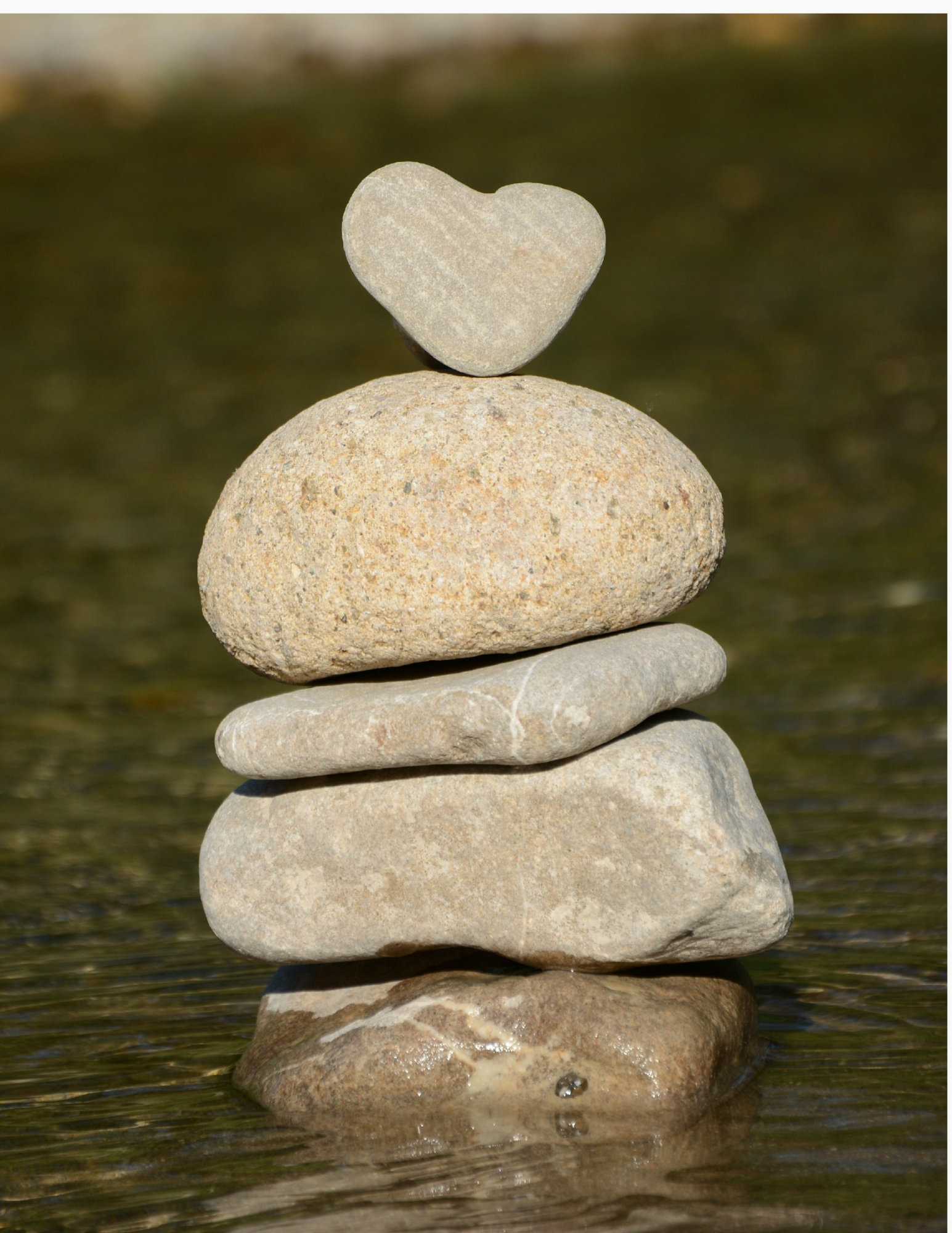 Strong Foundation Parent Cohort Tier 2: Tailored Experience
