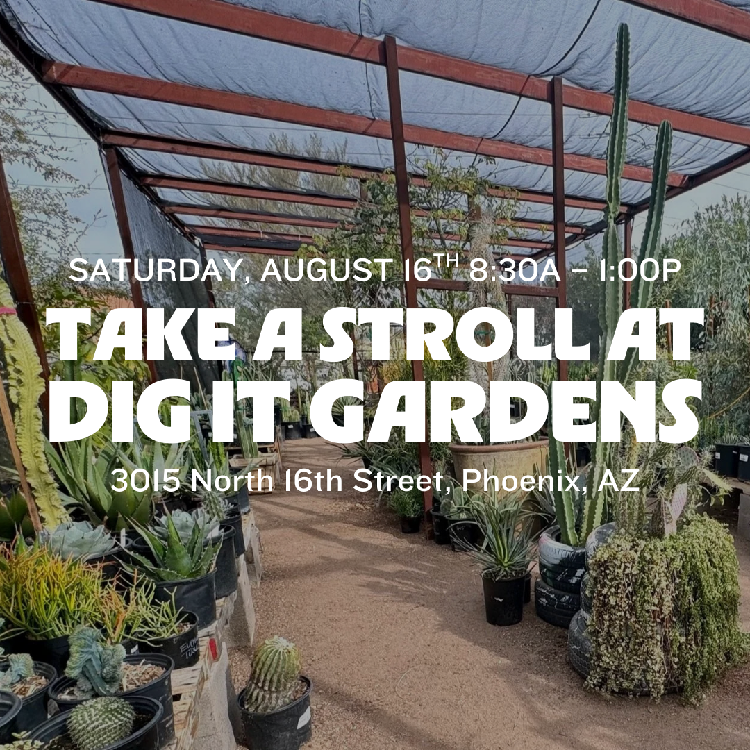 Stroll at Dig It Gardens