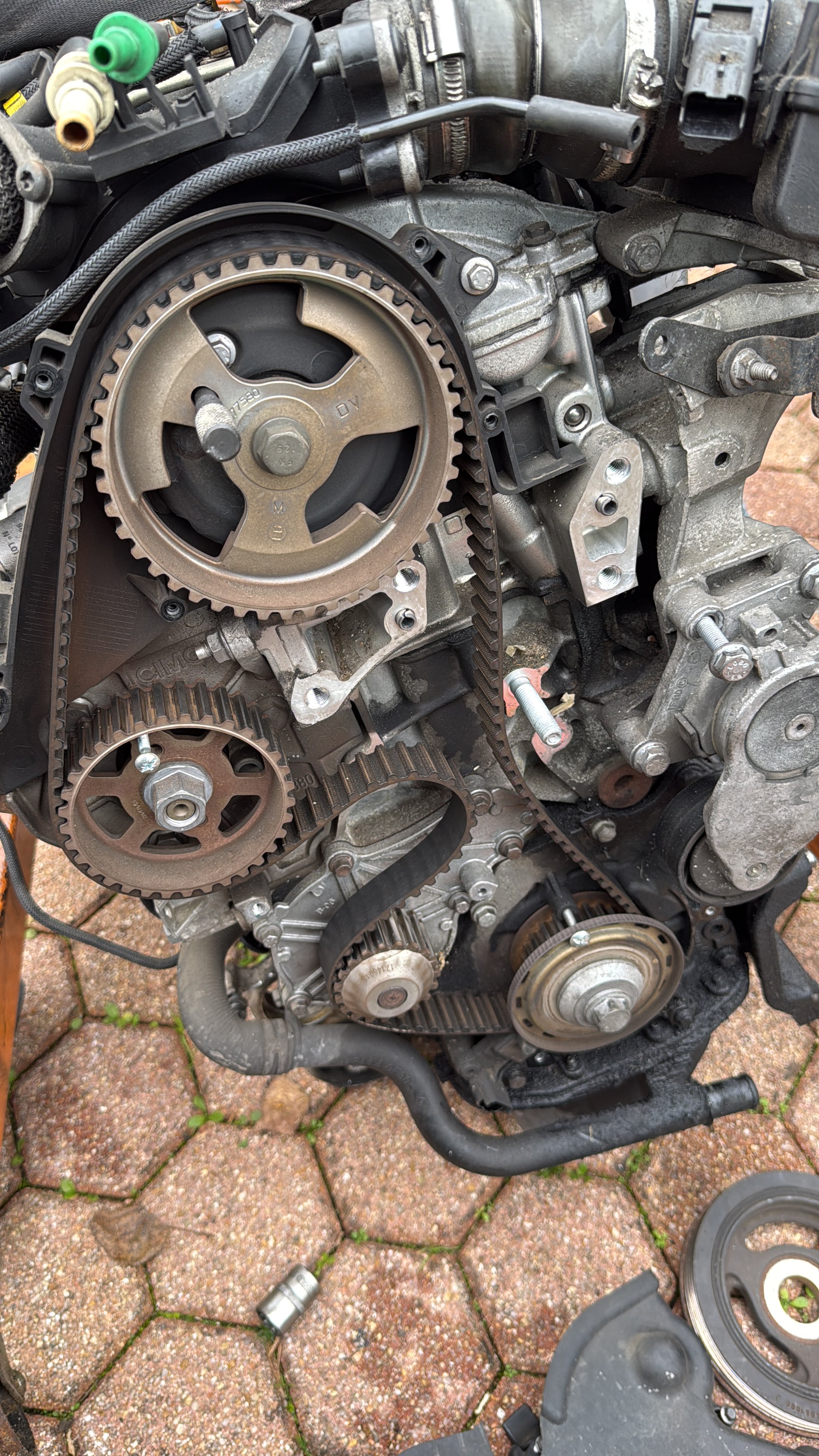 Courroie de distribution 308 1.6 HDI