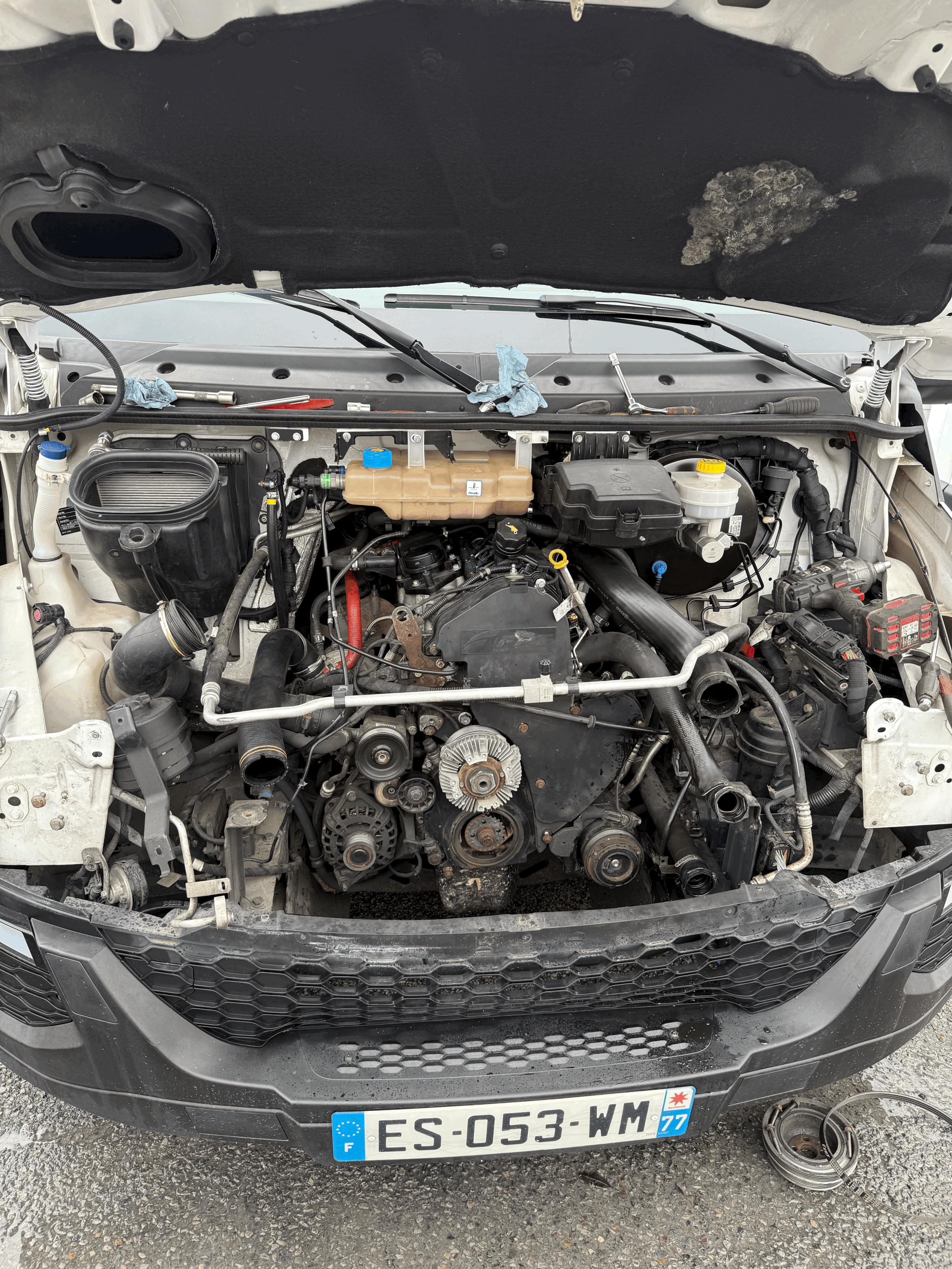 Courroie de distribution IVECO 2.3 JTD