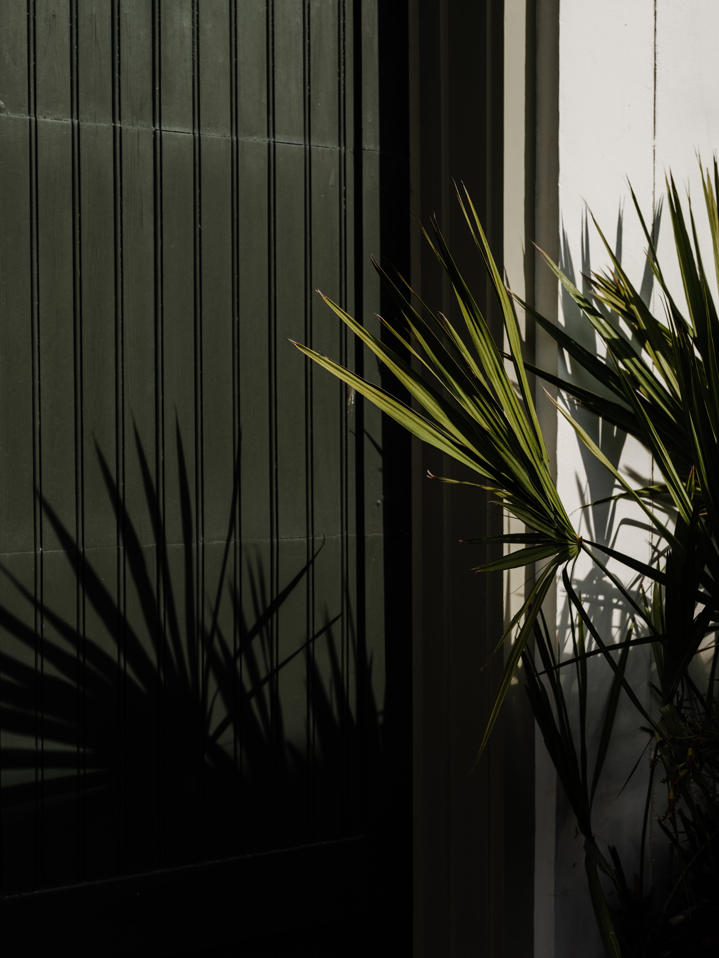 DSCF8500.jpg