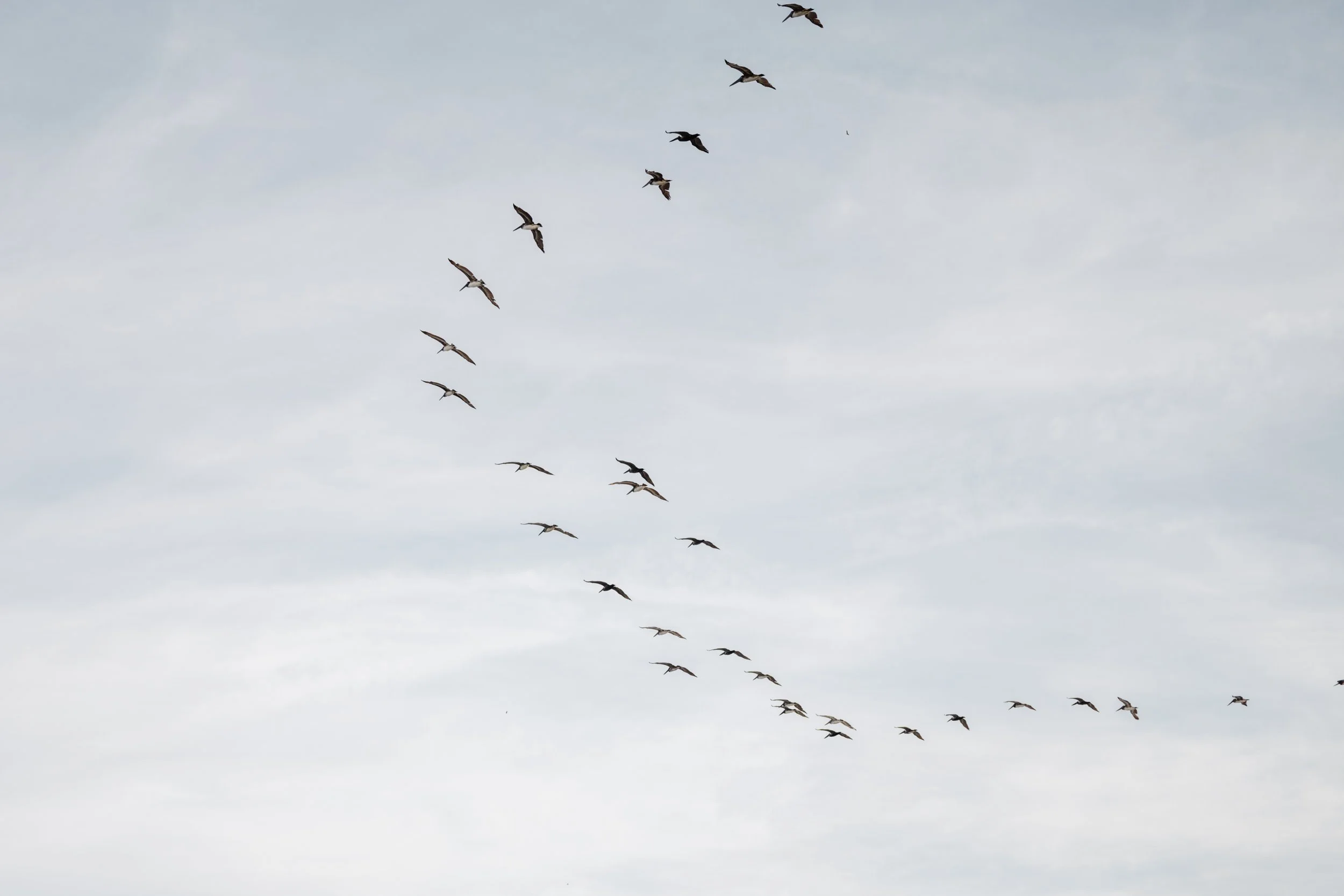 DSCF8338.jpg