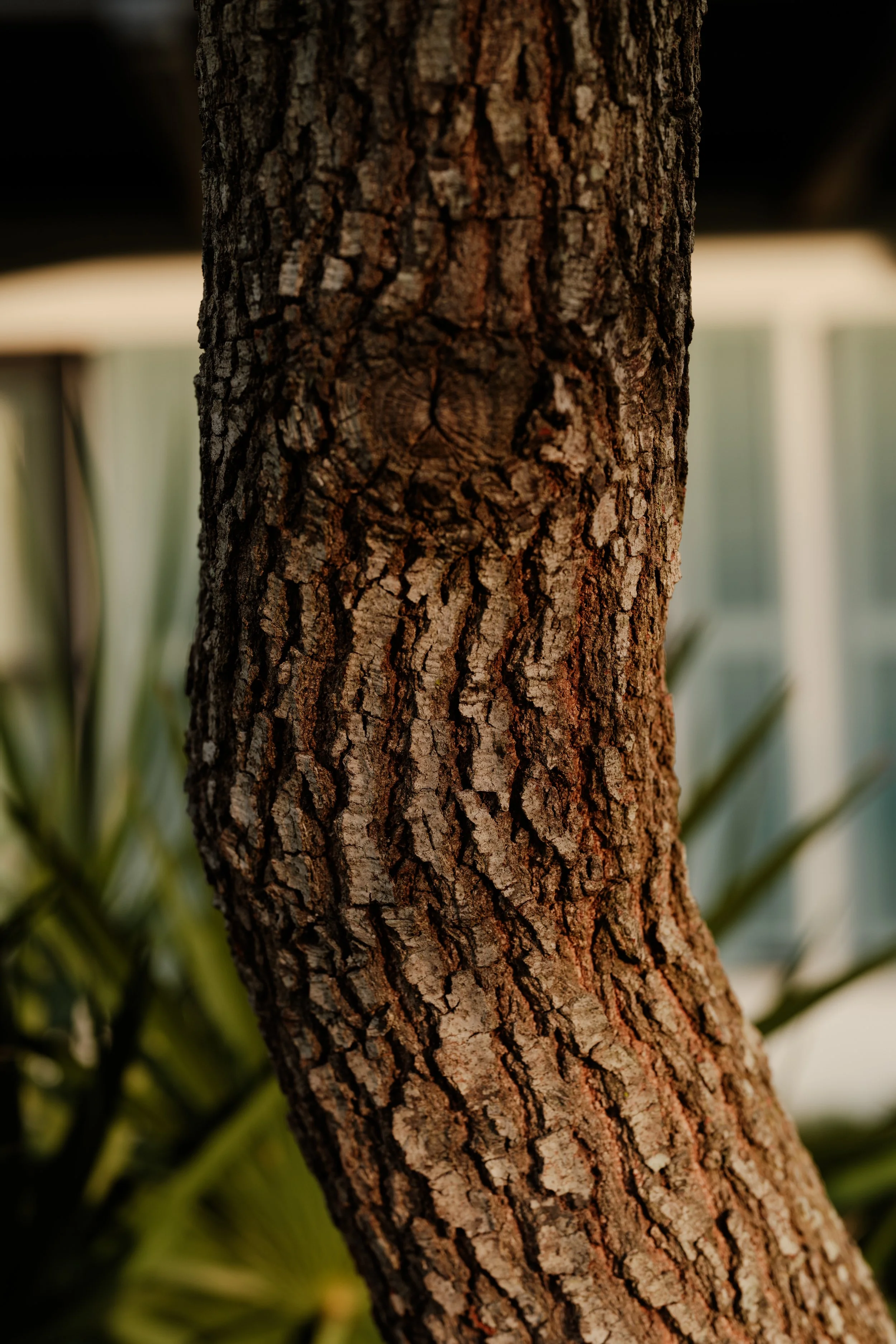 DSCF8332.jpg