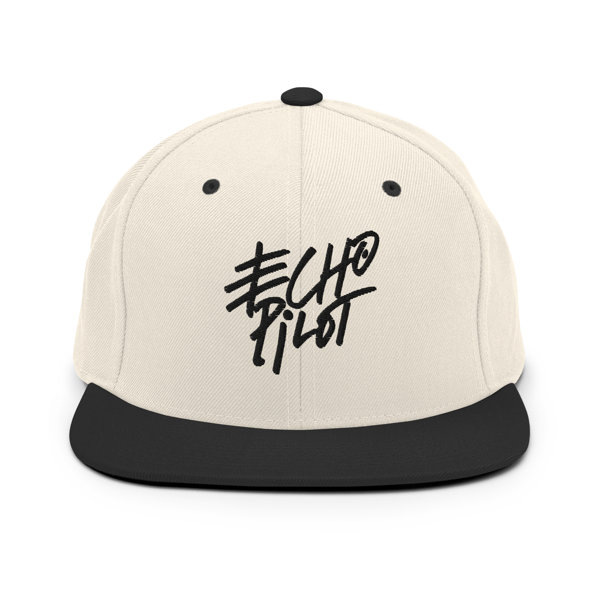 snapback hat (embroidered)